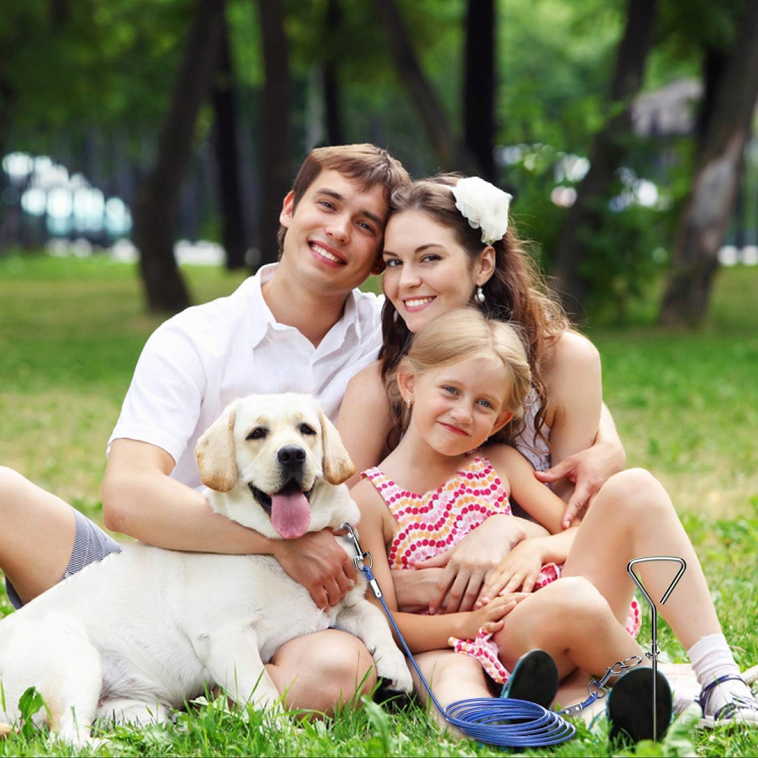 Dog Tie Out Cable and Stake, outside Dog Leash&Chain for Camping and Yard, Heavy Duty anti Rust Spiral Stake for Medium-Large Dogs up to 125 Lbs (Blue, 3M-10Ft) image number 2