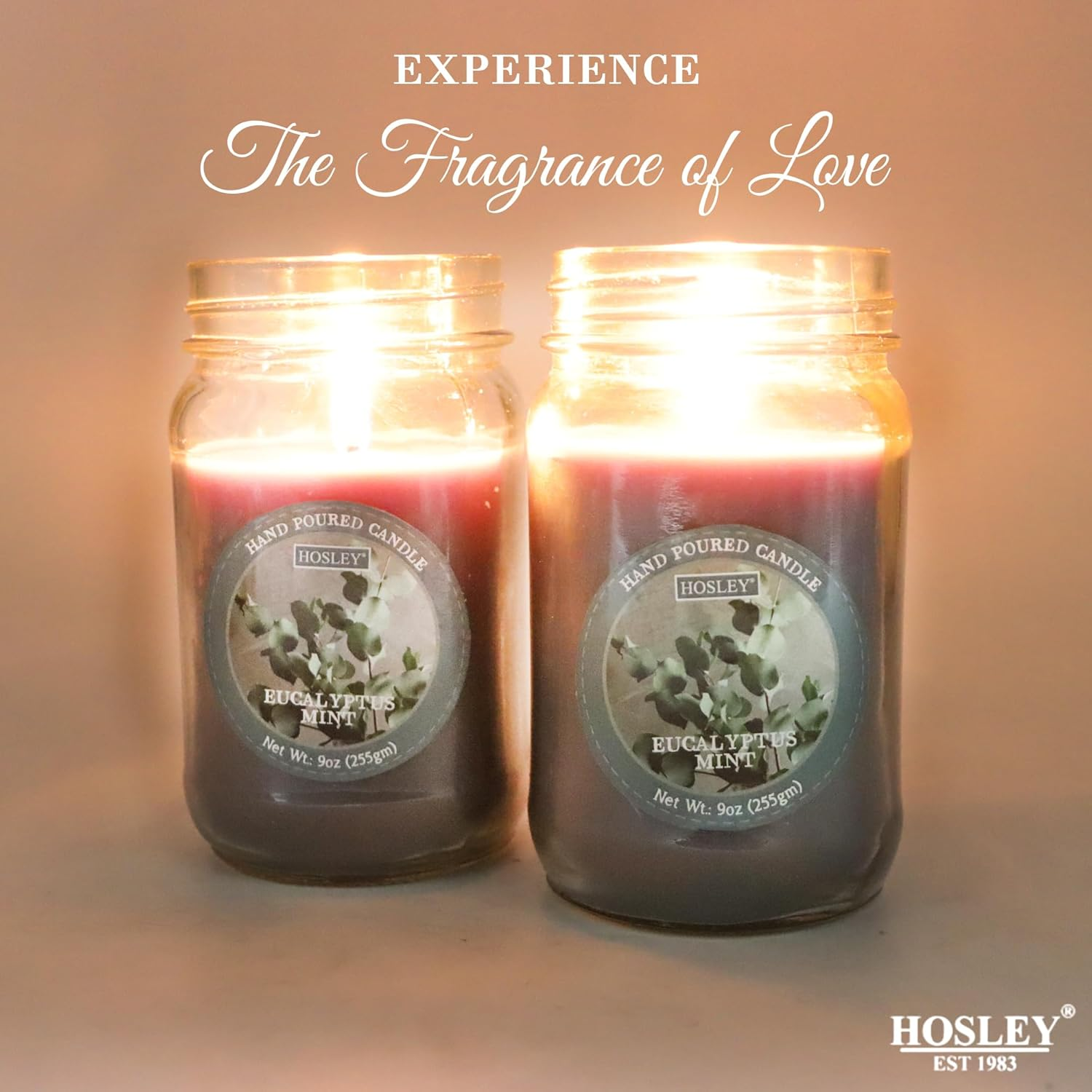 Hosley&reg; 9Oz Eucalyptus Mint Scented Classic Clear Fragrance Jar Candle Large Jar Single Wick Candle, over 55 Hours of Burn Time (Pack of 2) image number 6