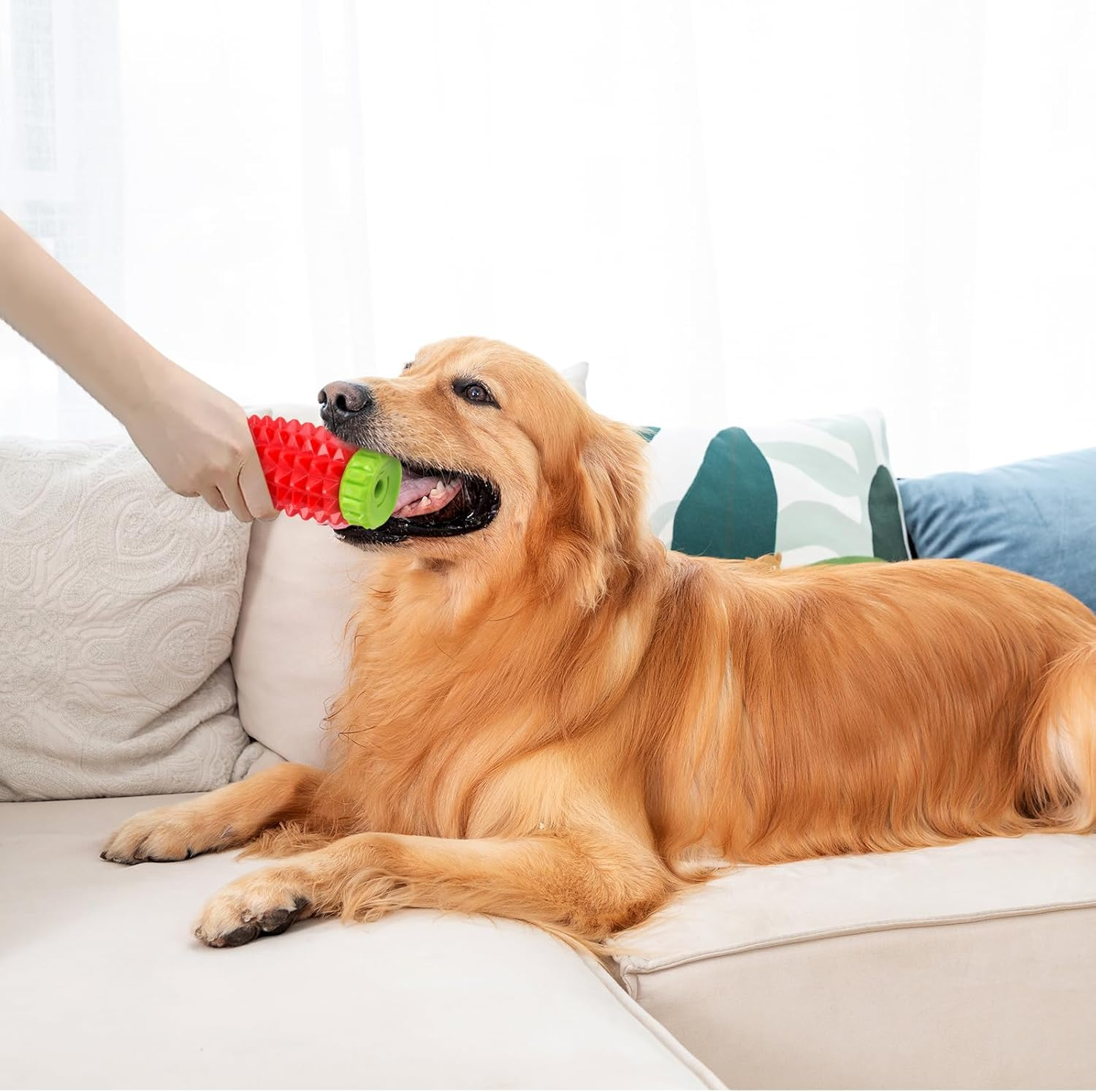 Joyfia Dog Interactive Chew Toy, Food & Treat Dispensing, Fun to Chew, Chase & Fetch, IQ Mental Stimulation & Enrichment, Boredom Buster for Small Medium & Large Breeds, Rubber Teething Dog Toys image number 1