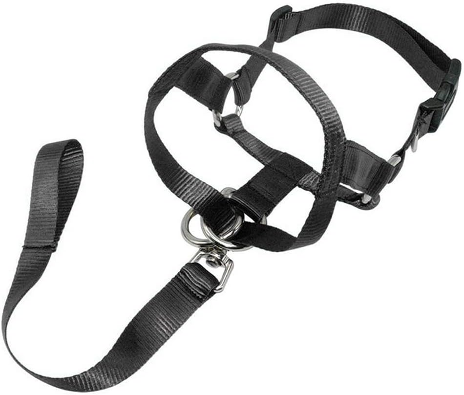 Dog Training Head Collar Halter Stop Pulling Training Tool Harness Strap Leader Purple S