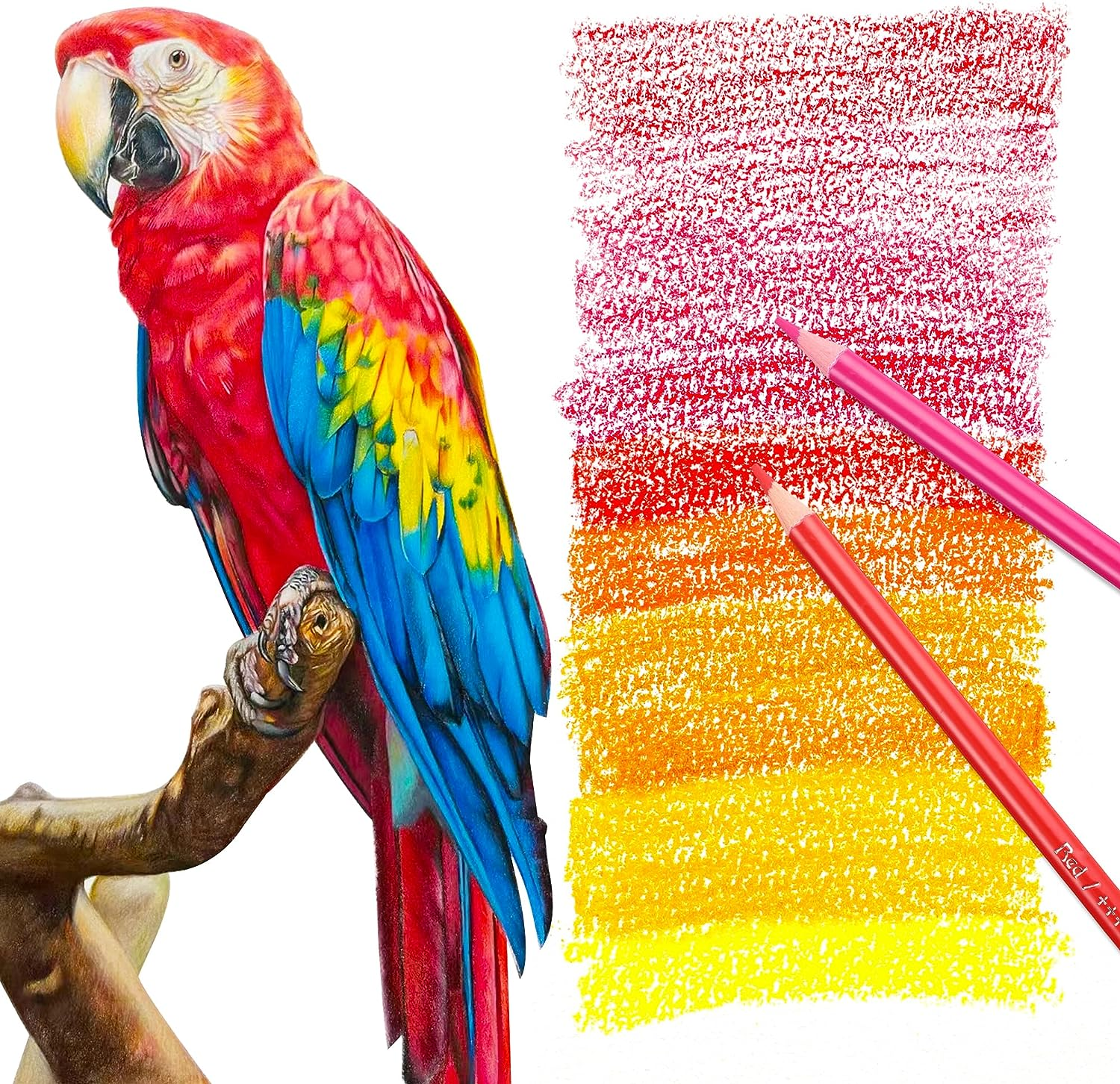 HIFORNY 125 Pack Colored Pencils Set for Adult Coloring,120 Colors Coloring Pencils with Extras,Artists Soft Core,Vibrant Color,Drawing Pencils Art Craft Supplies for Adults Beginners Kids - 120 Colors image number 5