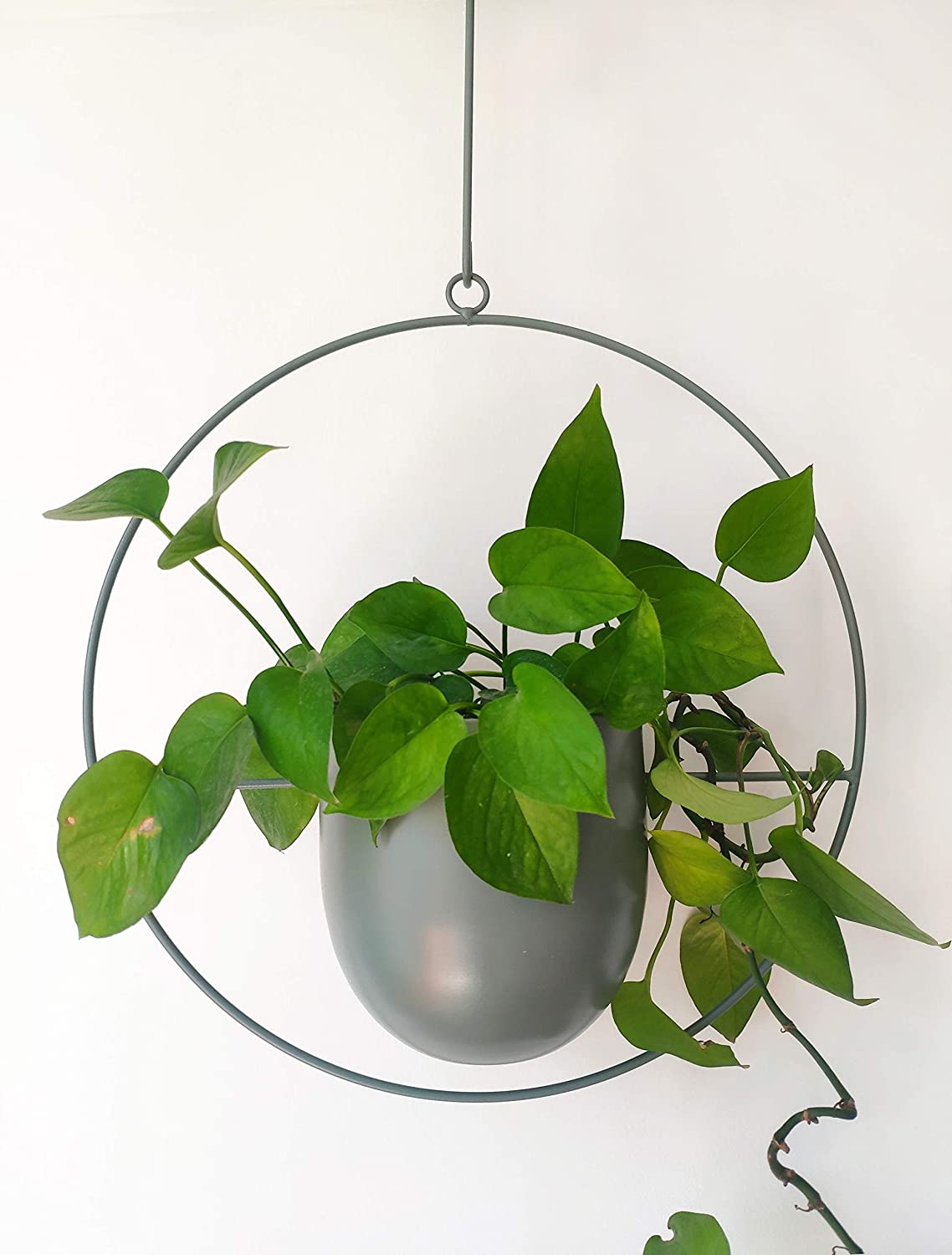 Boho Gold Metal Plant Hanger,Metal Wall and Ceiling Hanging Planter, Modern Planter, Mid Century Flower Pot Plant Holder, Minimalist Planter for Indoor Outdoor Home Decor image number 4