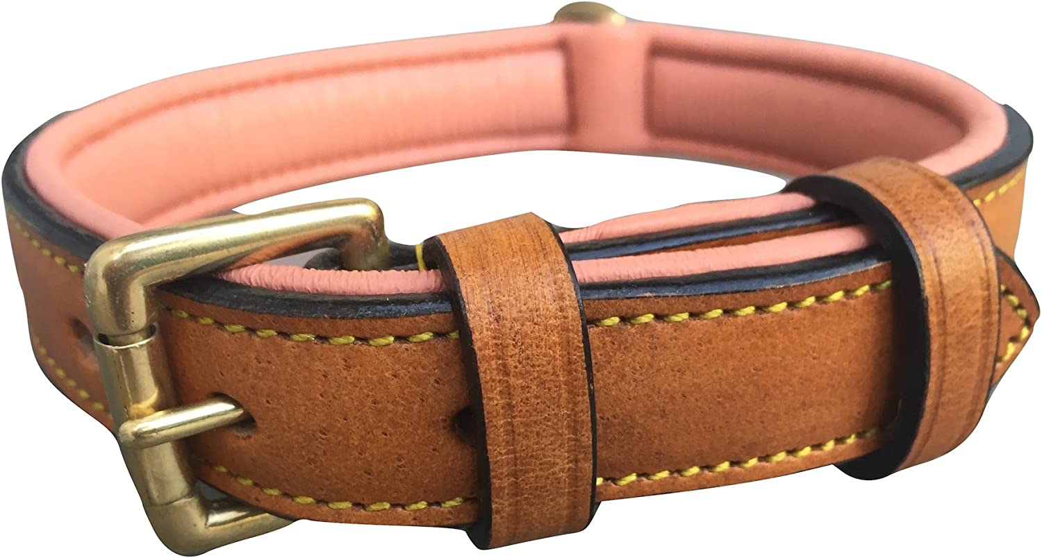 Soft Touch Collars Padded Leather Dog Collar, Large Brown - Genuine Real Leather, 24" Long X 1.5 Wide, Fits Neck Size 18" to 21" Inches