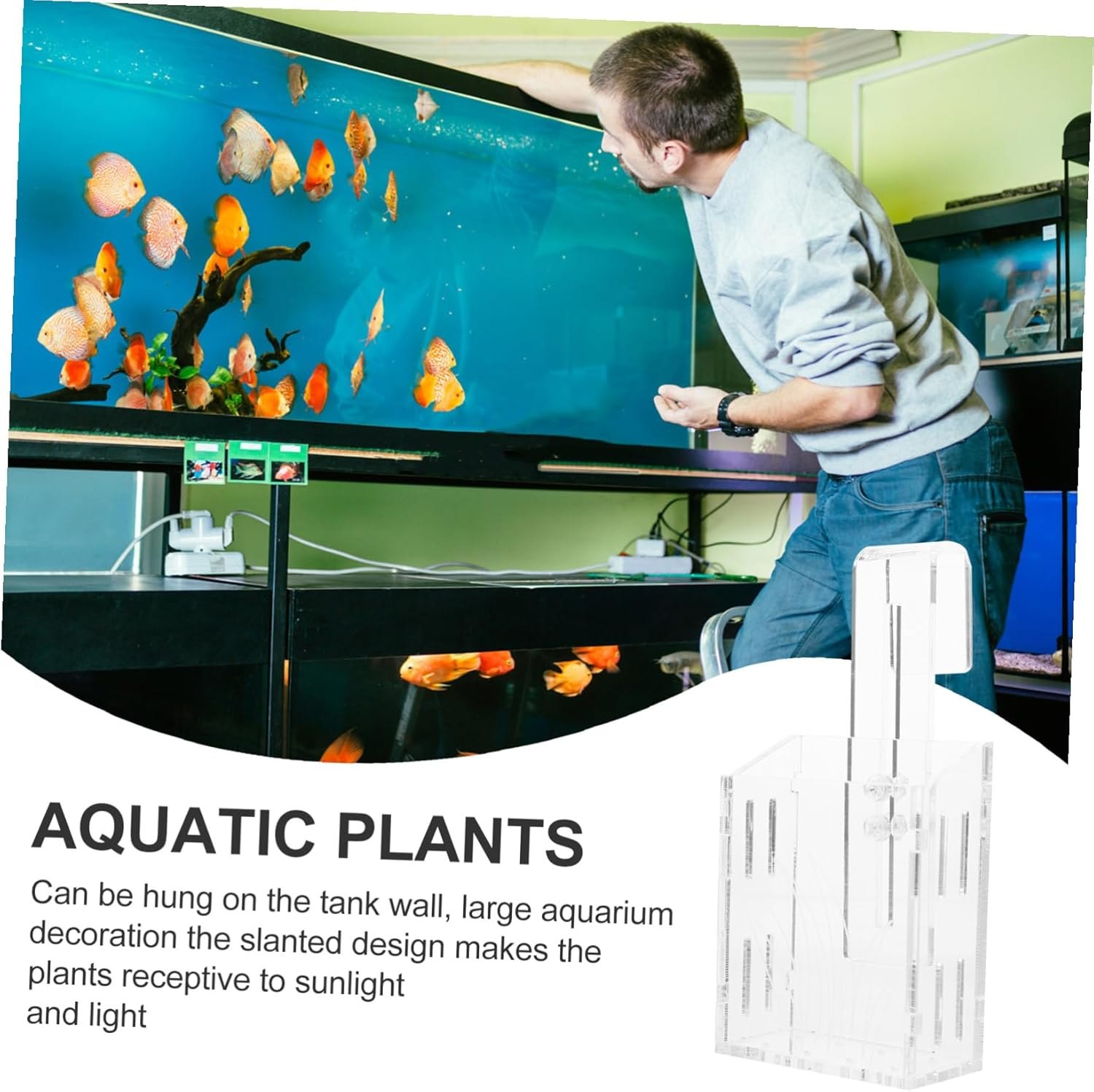 WEKAMOS Water Plant Holder Acrylic Small Aquatic Plant Cup Hanging Planter Pot Suitable for Fish Tank Aquariums with Suction Cup for Aquatic Pets