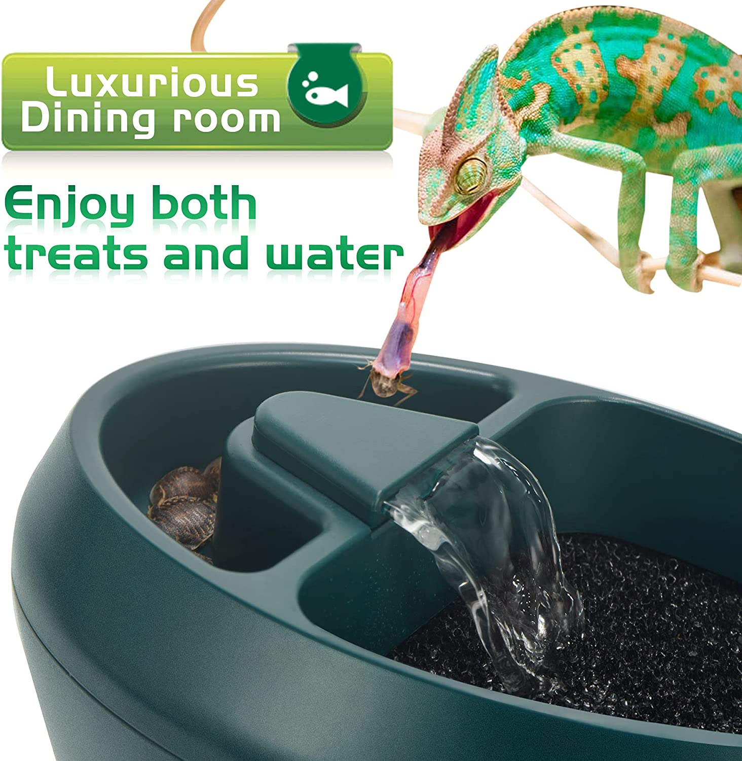 Reptile Chameleon Cantina with Snacks Trough, Drinking Fountain Water Dripper for Amphibians Insects Lizard Turtle Snake Spider Frog Gecko, Comes with Two Pumps (One for Replacement) image number 5