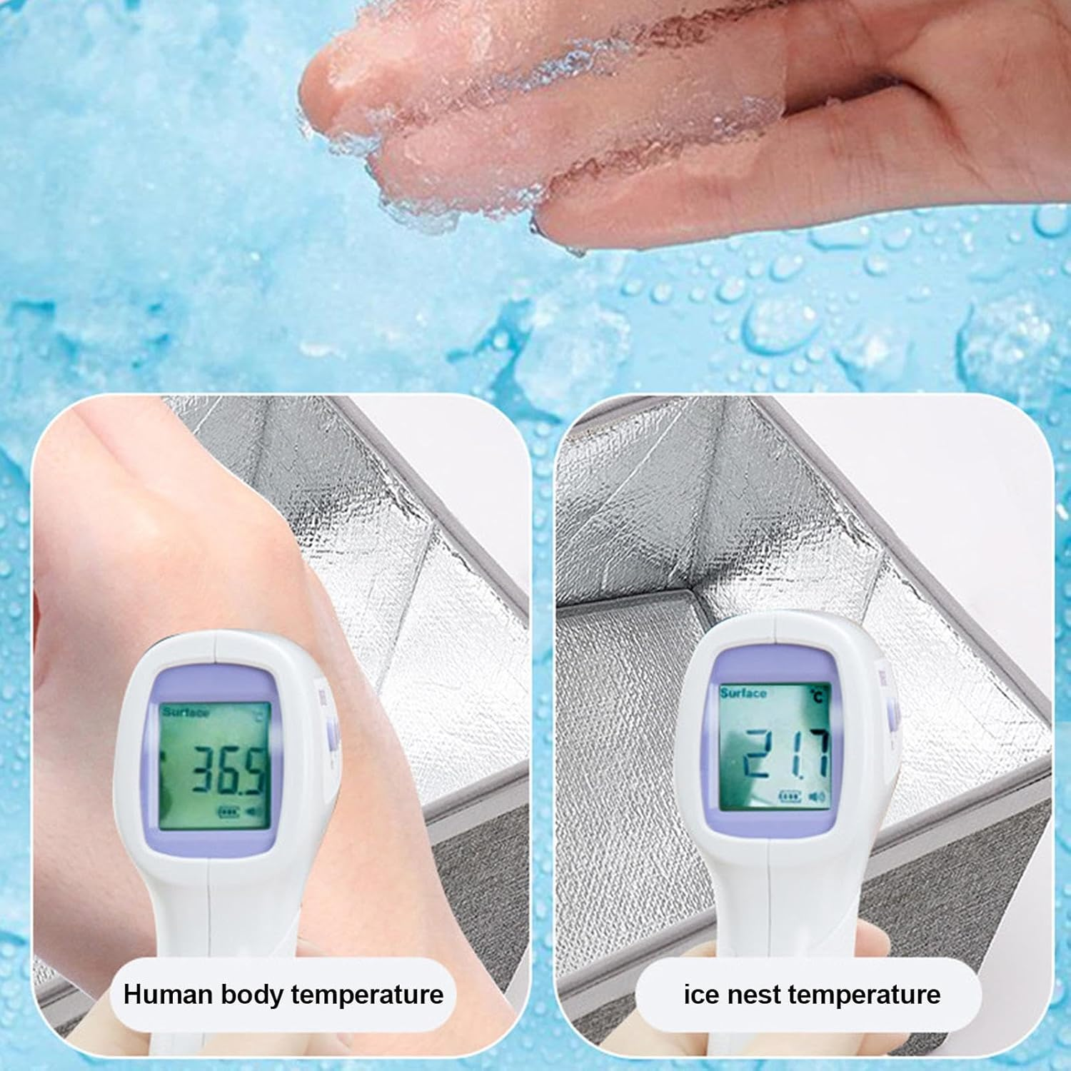 Outdoor Cat House - Cabin Outdoor Pet Shelter | Insulated Cat House | Versatile Cat Shelter | Cat Shelter with Ice Packs - outside Cat Shelter Insulated Cat House with 12 Ice Packs image number 2