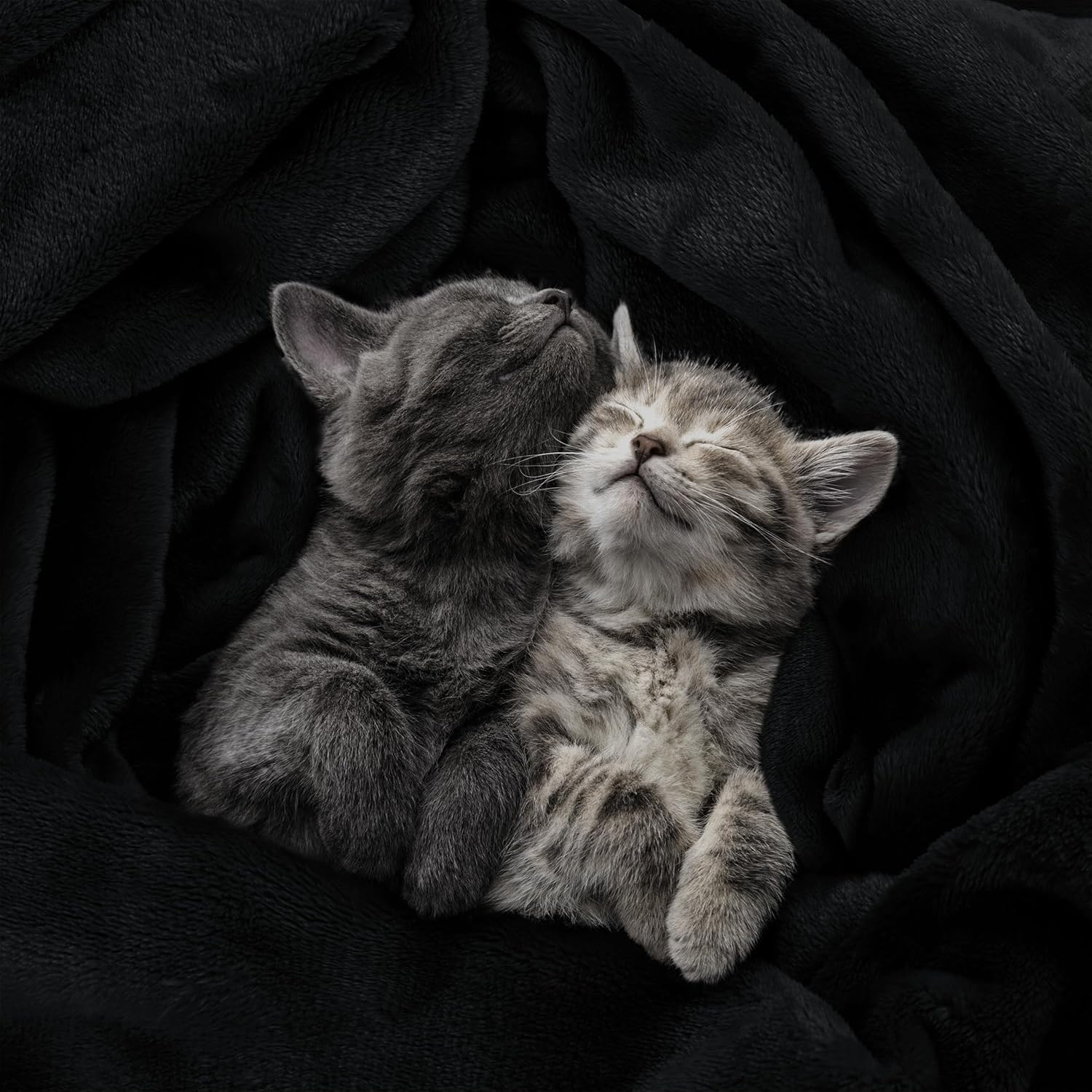 Utopia Bedding Fleece Blanket Throw Size Black 300GSM Luxury Blanket for Couch Sofa Bed Anti-Static Fuzzy Soft Blanket Microfiber (60X50 Inches) image number 3