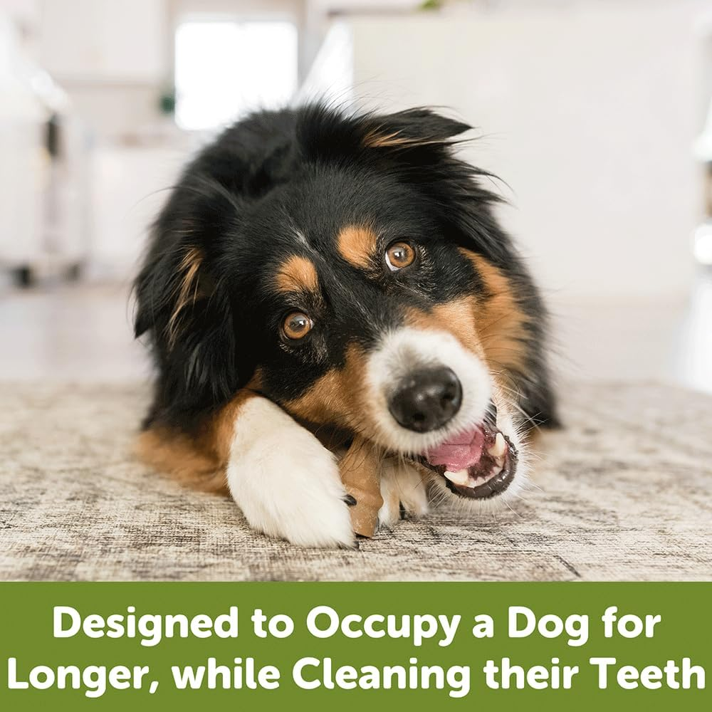 WHIMZEES Antler Dental Dog Treats, Bulk Box, Large (18-27Kg Dogs), Natural Daily Dental Chews (22 Count) image number 3