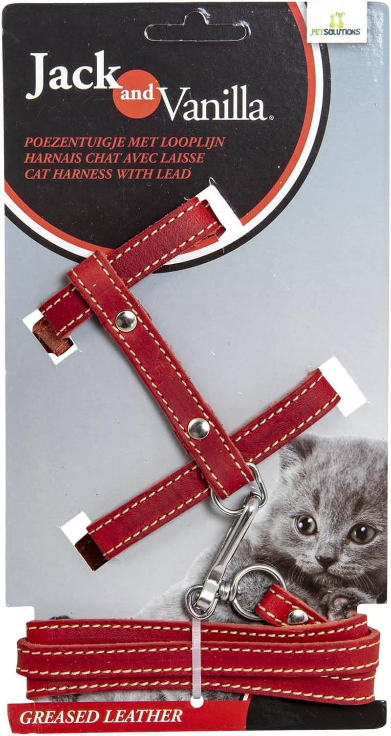 Jack and Vanilla, Oiled Leather Cat Harness with Red Leash, Custom Fit, Elegant Design, Optimal Comfort, Maximum Safety, Size 10 Mm, Red Colour, Pattern image number 2
