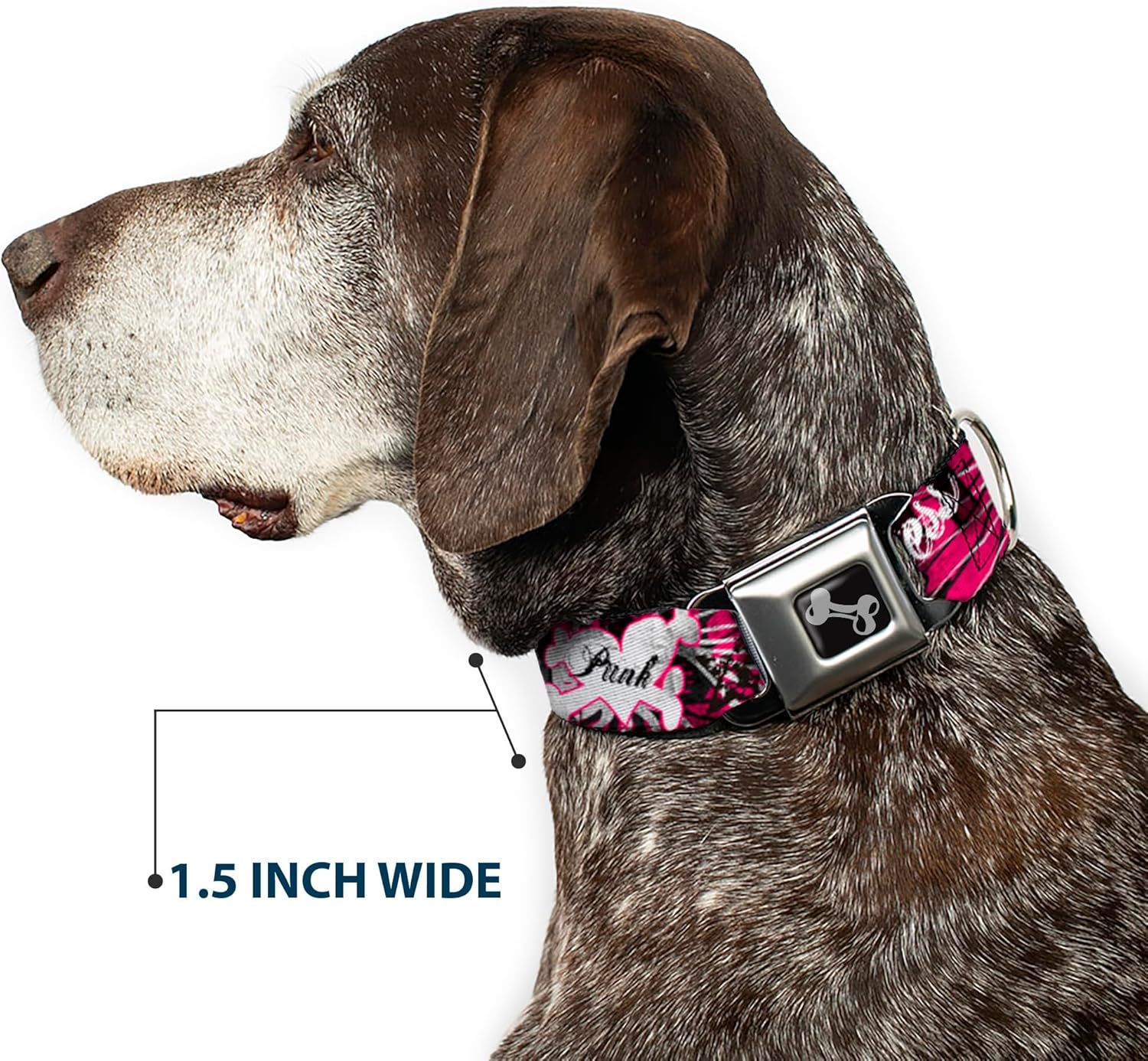 Buckle-Down Seatbelt Buckle Dog Collar - Punk Princess W/Piano Keys - 1" Wide - Fits 15-26" Neck - Large image number 4