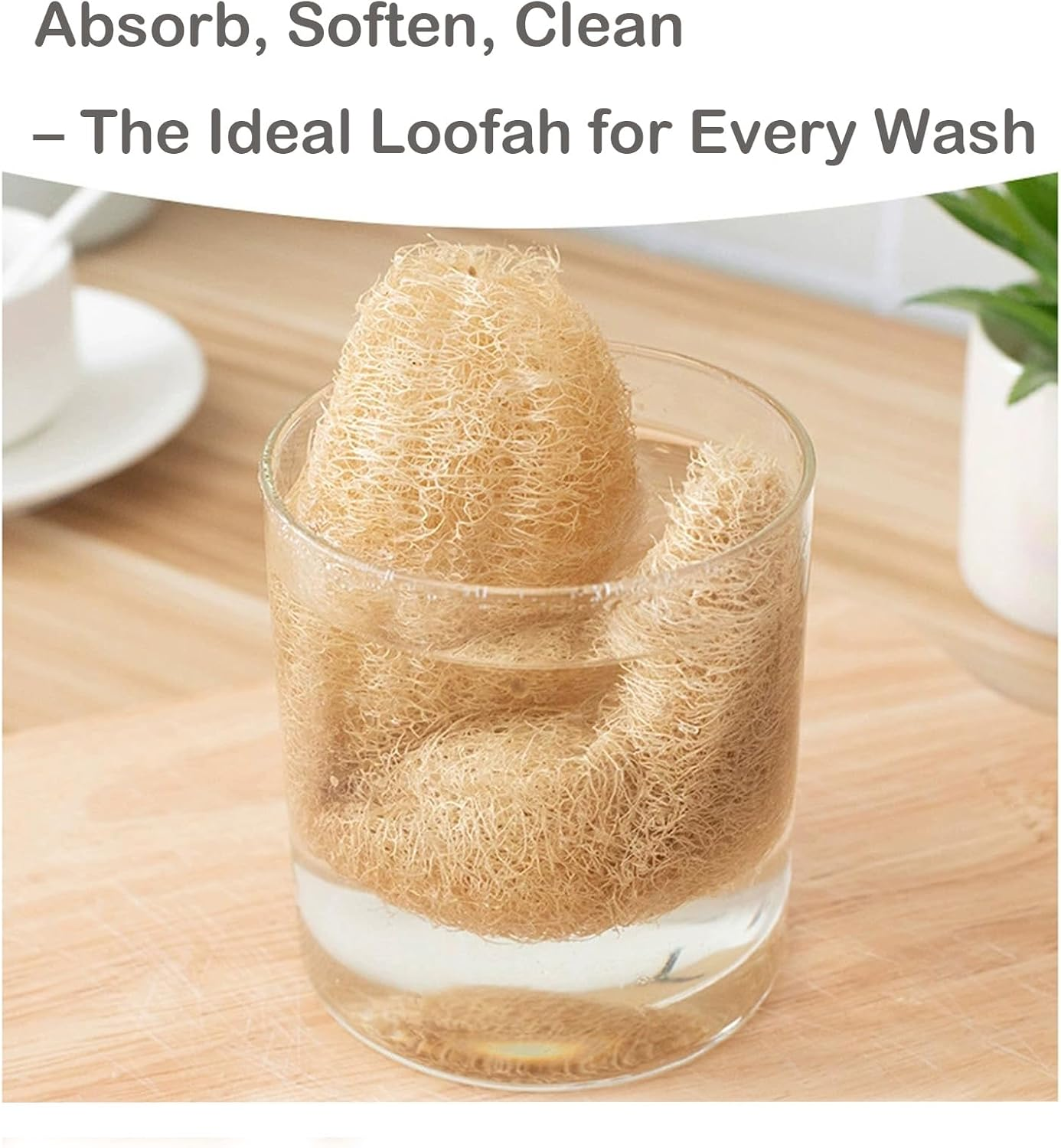 Catchu Whole Loofah Sponges Bursh, Quality Organic Luffa Softness Bath Shower, Cutability Natural Uncompressed Loofah Scrupper, Dish Clean Brush - Pack of 2 image number 2