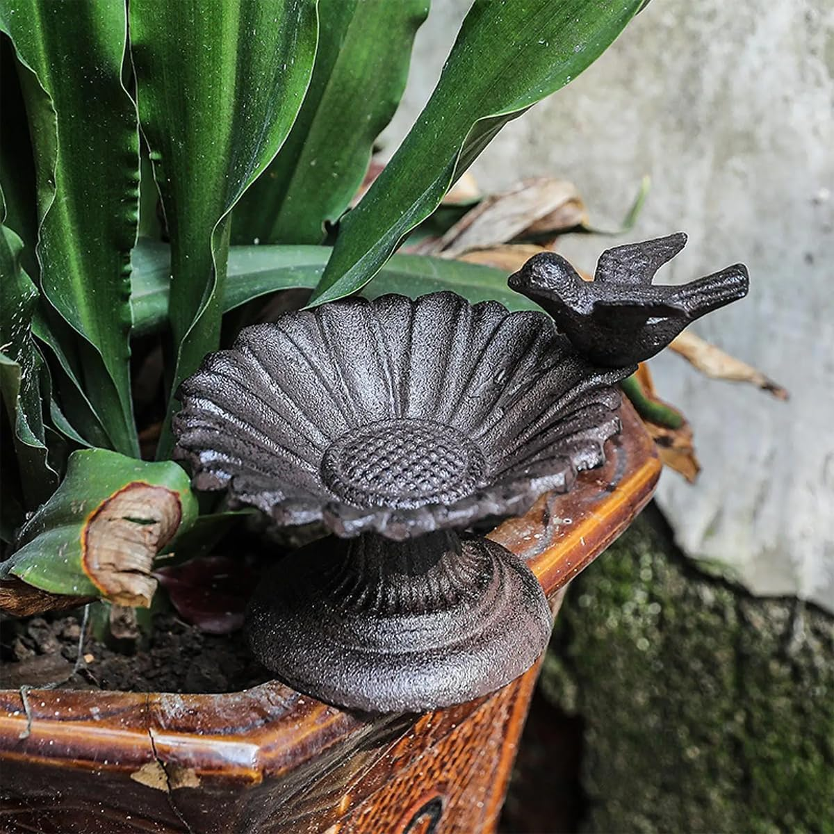 AIMALL European Style Cast Iron Bird Feeder Retro Petal Basin Decorative Dish for Balcony Garden Indoor Tabletop Living Room Home Ornaments as Shown 5.11In X 4.72In image number 5