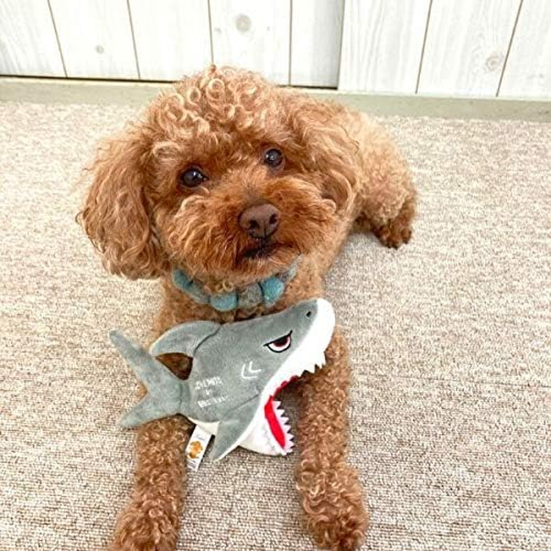LOVE PETS by BESTEVER Shark Dog Toy, Pet Toy, Casha Kyukyu Sound, Stress Relief, Play Together, Home Time, Shark, Scary Shark, Best Ever Japan image number 5