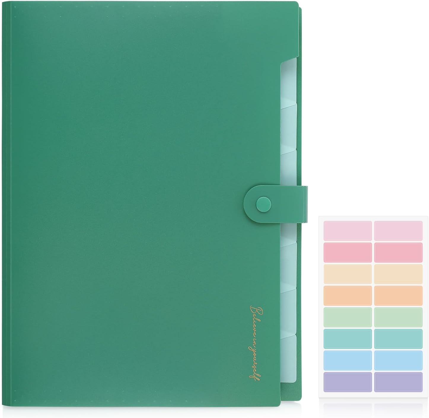 SKYDUE Expanding File Folder with 5 Pockets, Accordion File Organizer,Portable Receipt Paper Documents Organizer,Letter Size Filing Folder School Office Supplies,Lightblue