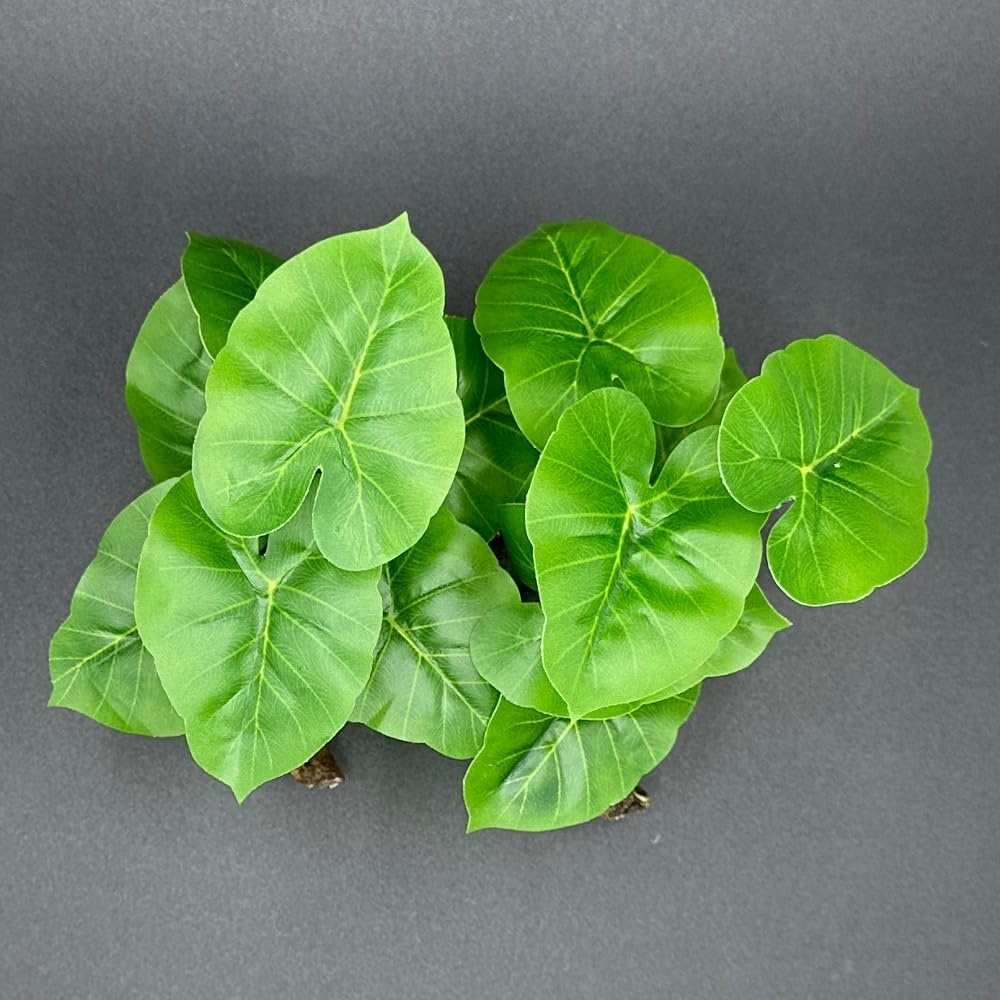 Smoothedo-Pets Fish Tank Decor Aquarium Decorations Ornaments Betta Leaf Pad Hammock Plastic Artificial Plant Goldfish Fish Hides Small Tank/Reptiles Plants Driftwood (Green-Type-A-Set) image number 2