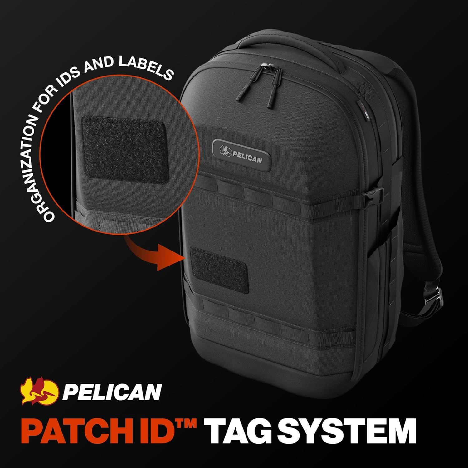 Pelican Pelican image number 4