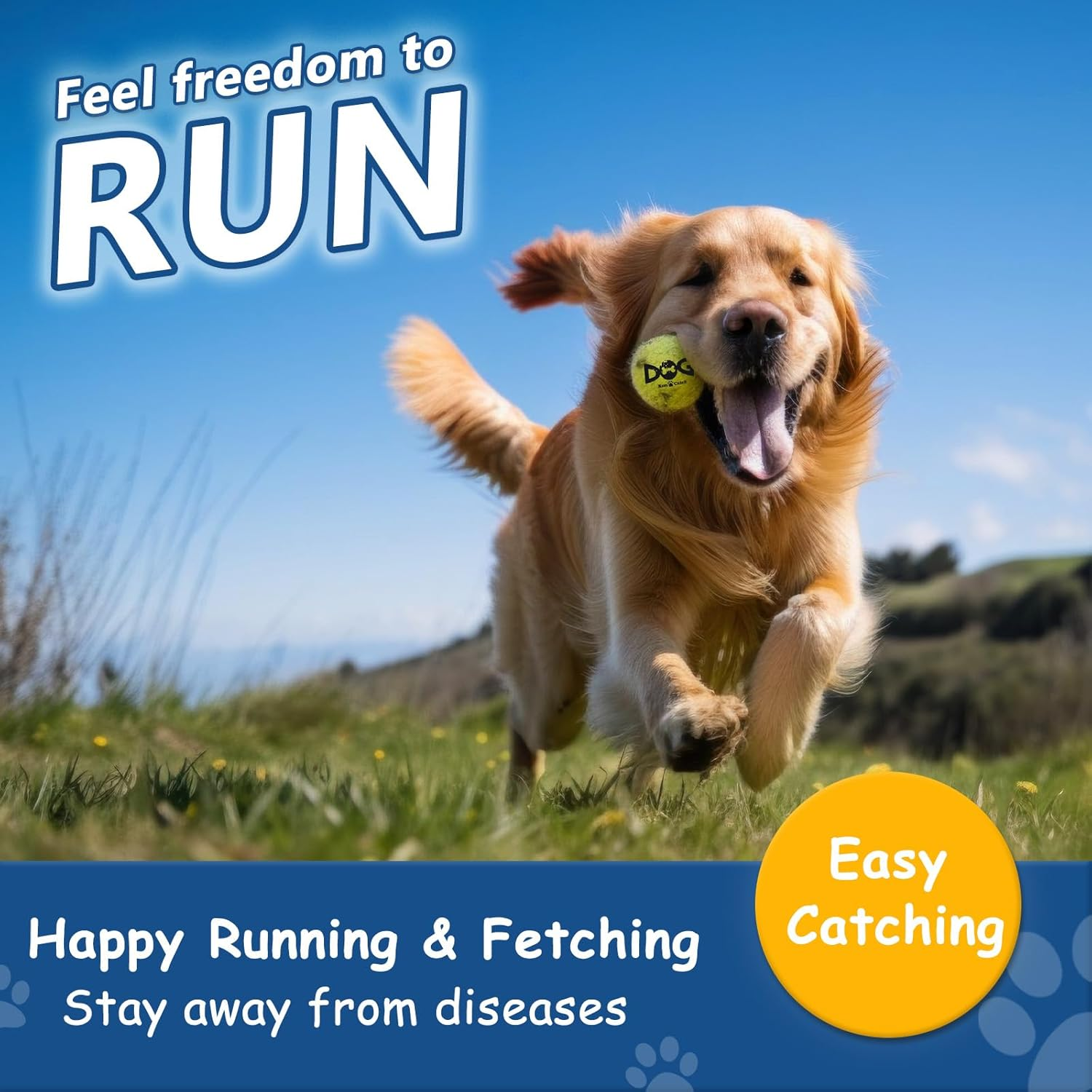 Insum Tennis Ball for Dog Pack of 12 Colorful Easy Catching Pet Dog Ball image number 5