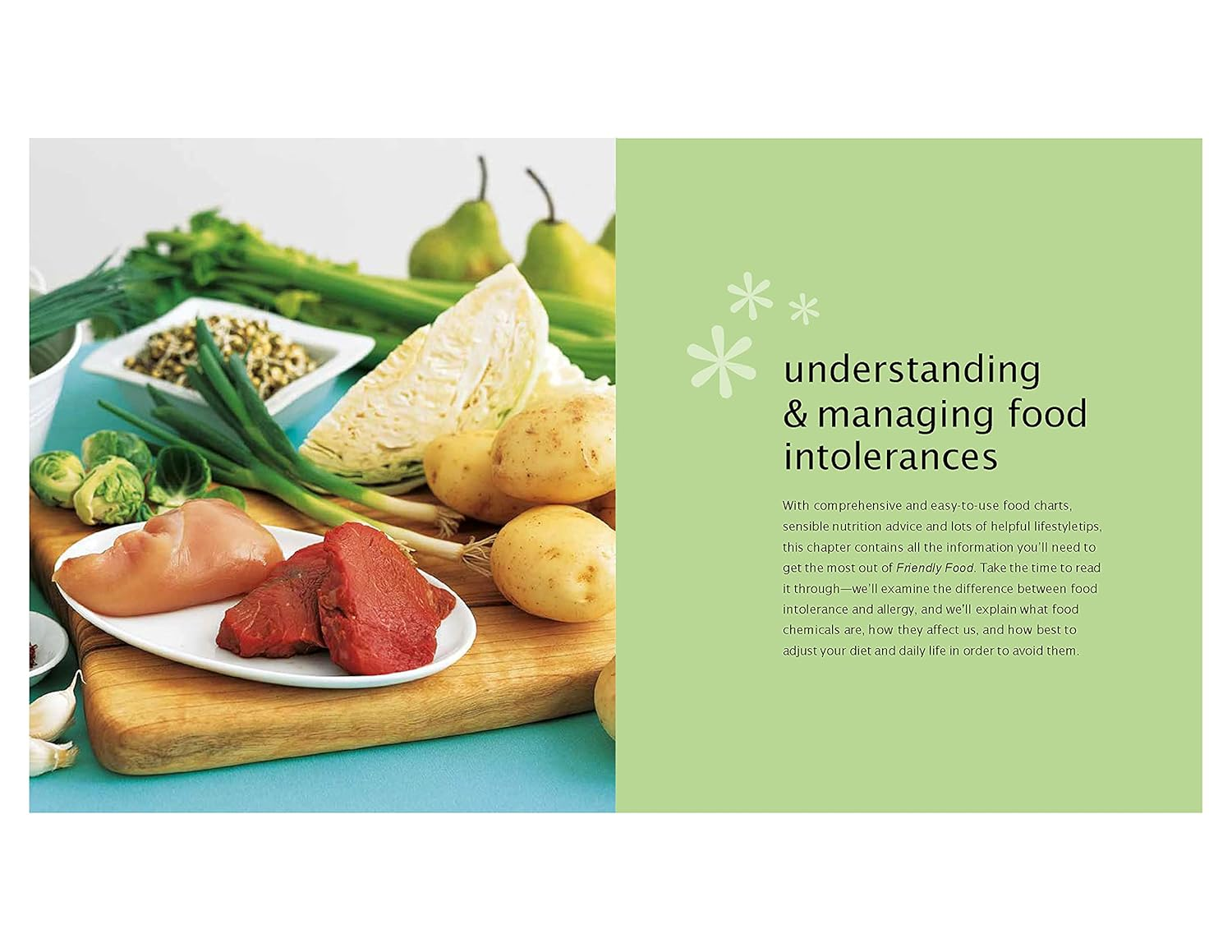 Friendly Food: the Essential Guide to Managing Common Food Allergies and Intolerances image number 1