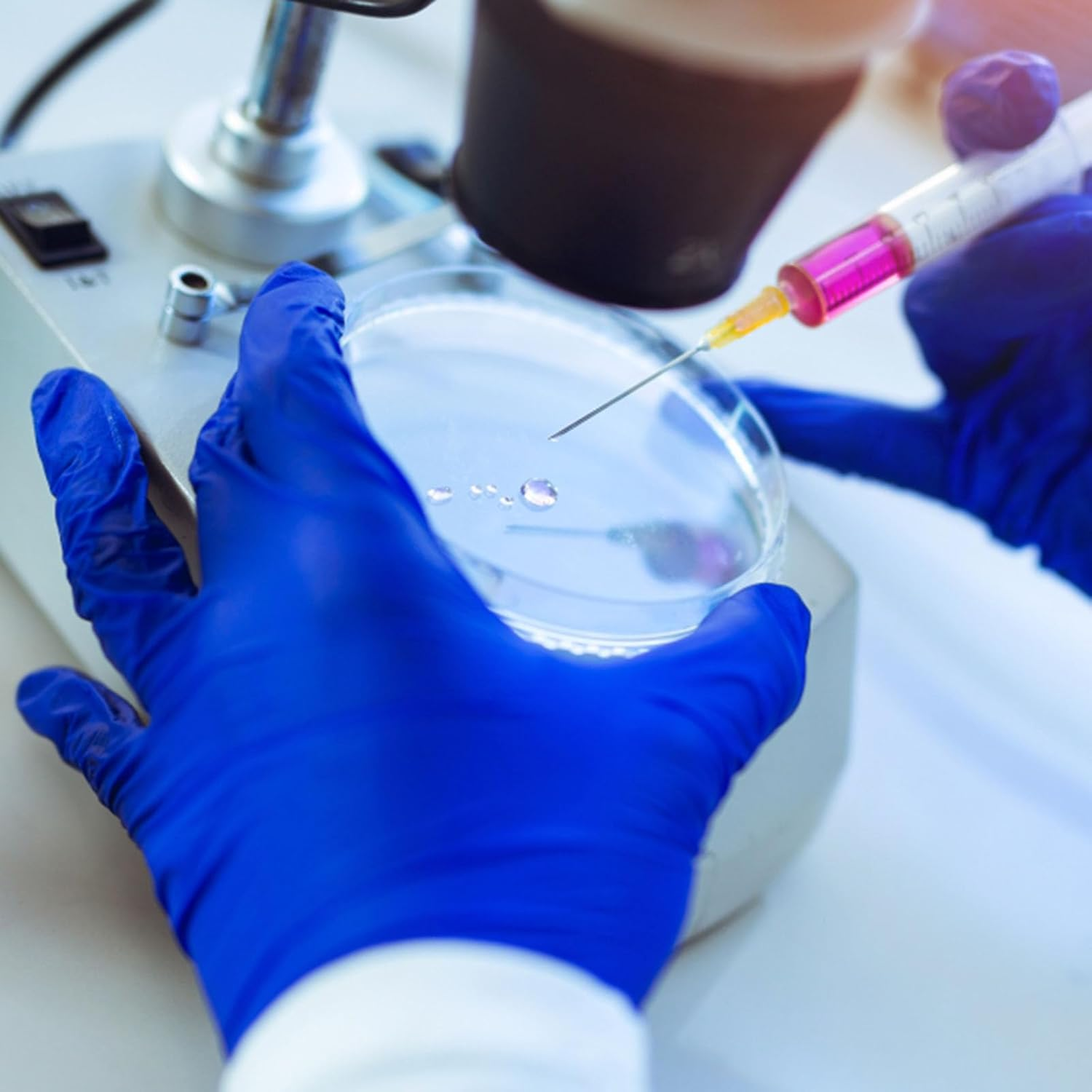 Plastic Petri Dishes with Lid - 20Pcs Agar Plates, Clear Empty Dish for School Science Project Microorganisms Cell Yeast - Petri Dishes with Lid Bulk Suite - 70Mm X 15Mm