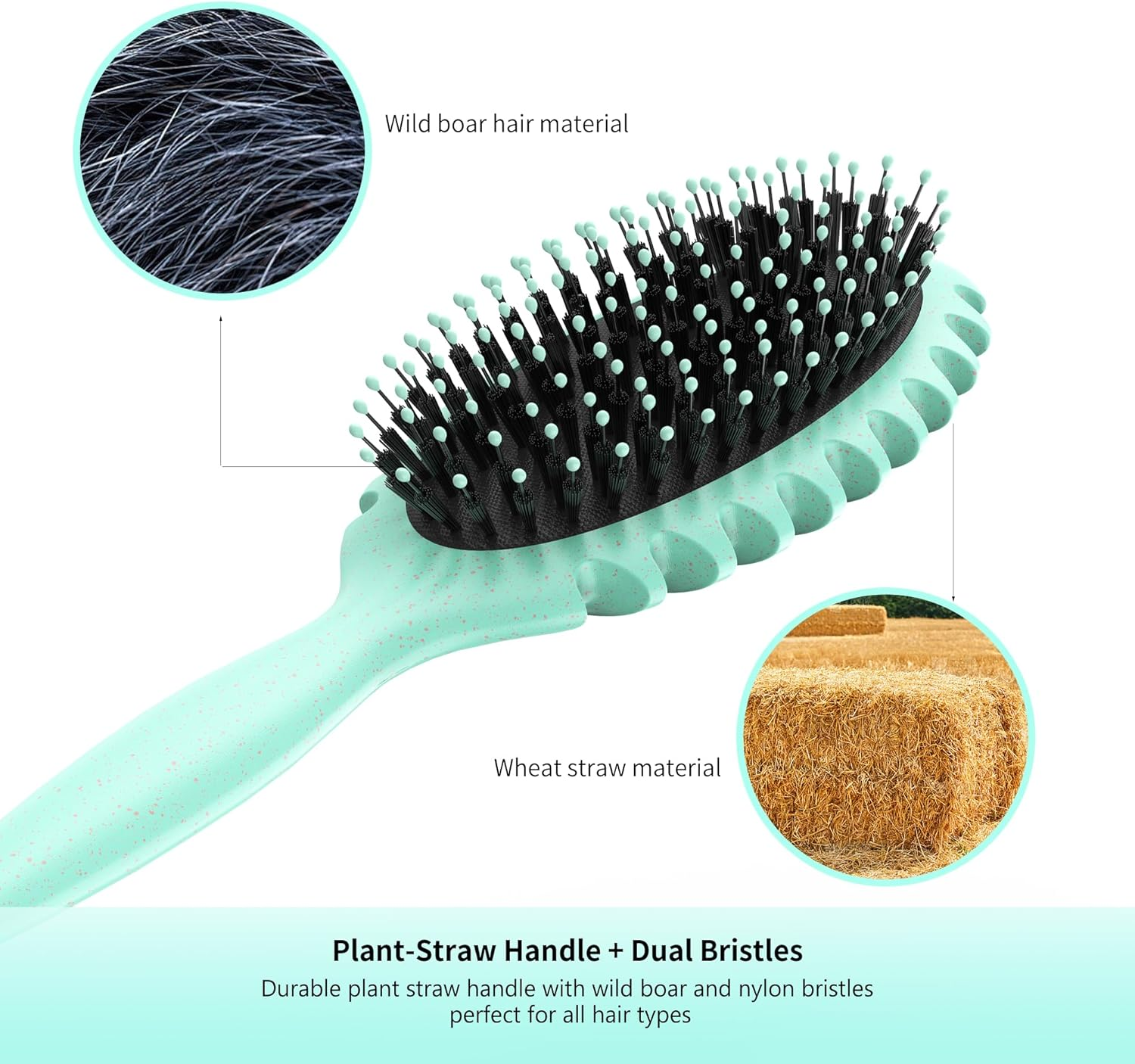 Tofitter Curl Hair Brush &ndash; Anti-Static Detangling Comb for Wet & Dry Hair, Reduces Tangles & Hair Pulling, Ergonomic Handle, Suitable for All Hair Types（Green) image number 3