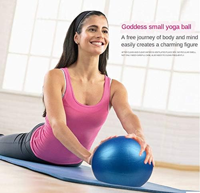 FIT Barre Mini Exercise Barre Ball for Yoga,Pilates,Stability Exercise Training Gym anti Burst and Slip Resistant Balls(2 Pcs) with Inflatable Straw (Pink X 2) image number 4