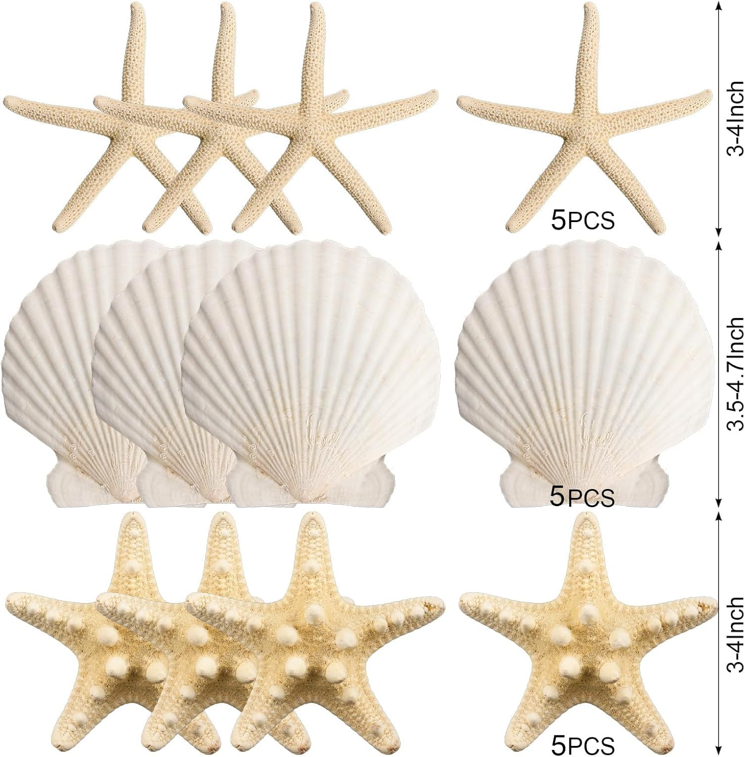 15PCS Starfish Scallop Shells for Crafts 3.5"-4.7" Large Seashells Bulk Mixed Star Fish Shells Decorations for Wedding Decor DIY Crafting Craft Making Fish Tank Home Decorations image number 2