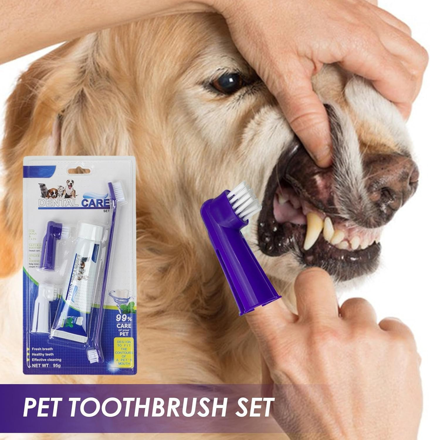 Toothbrush and Toothpaste Kit for Cat, Puppy, Kitten | Complete Small Dogs Teeth Care Set for Home, Store, Hospital, Shelter Helves