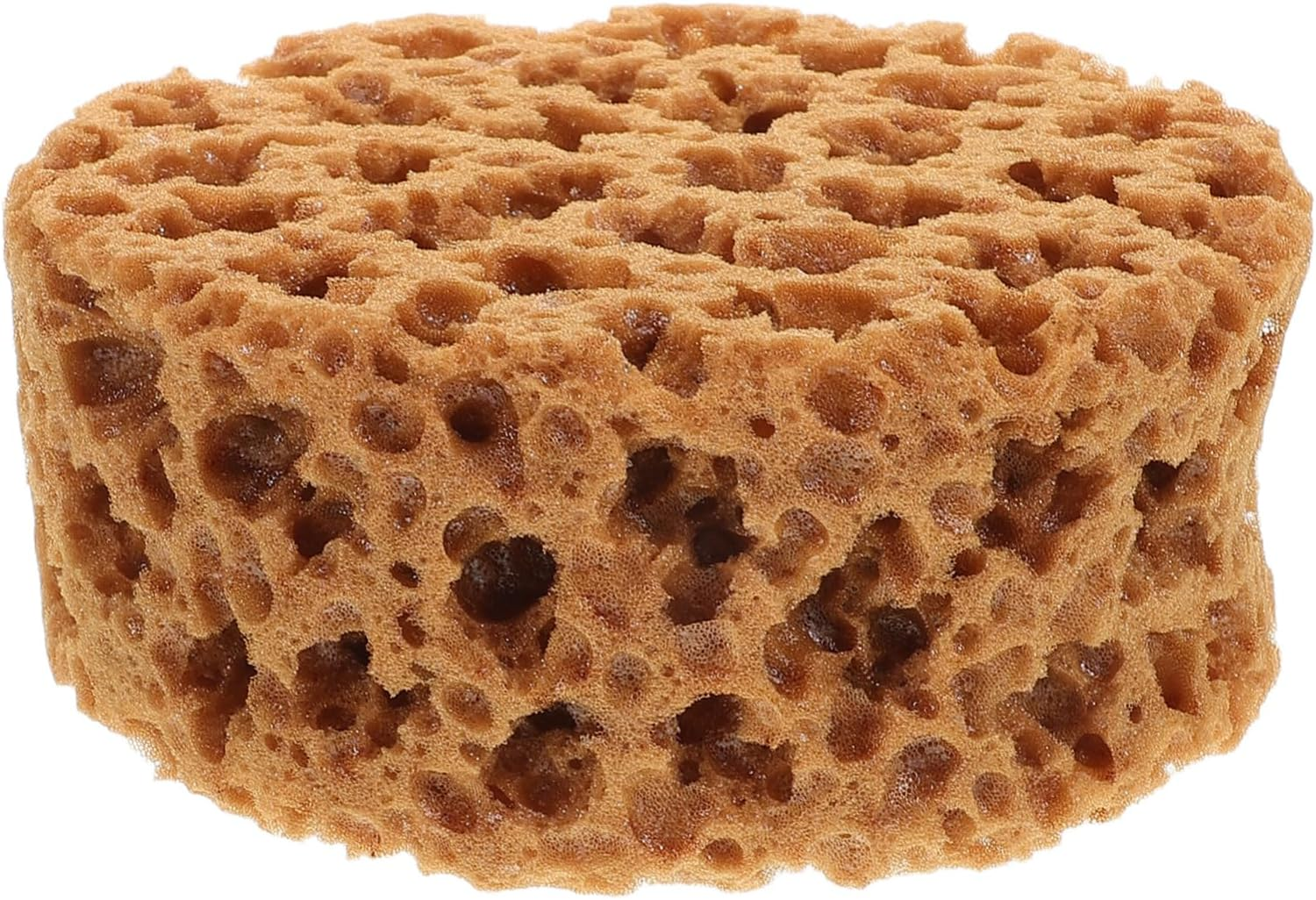 Small Decorative Flower Paint Sponge Brush for Craft Painting and Wall Art Artificial Seaweed Material Painting Sponge Tool and Furniture Finishing image number 1