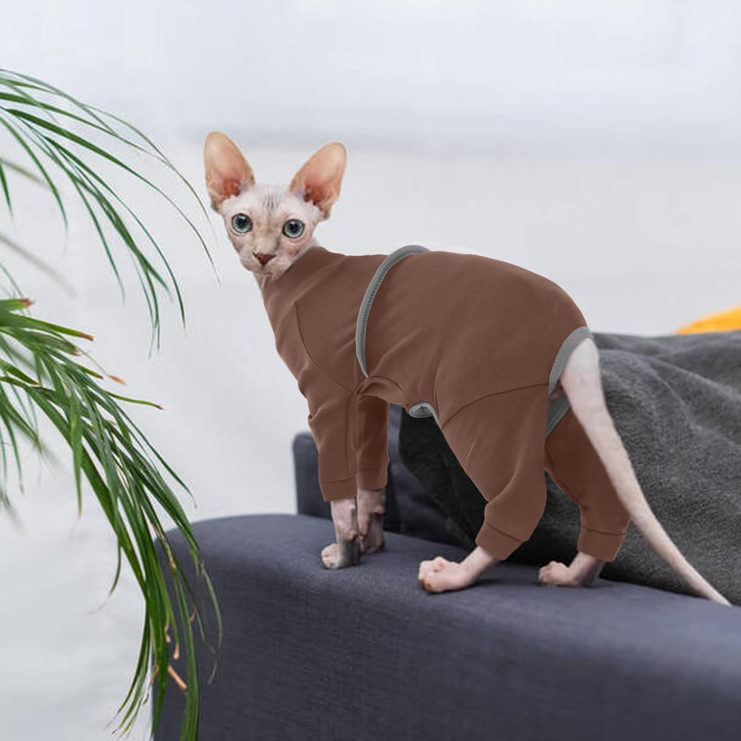 Hjyokuso Sphynx Cat Clothes, Breathable Soft Cat Jumpers for Cats Only, Cat Coat with Four Legs, Cat T-Shirt, Warm Cat Sweaters, Cat Pajamas Jumpsuit Vest for Sphynx, Cornish Rex, Devon Rex,Peterbald image number 6