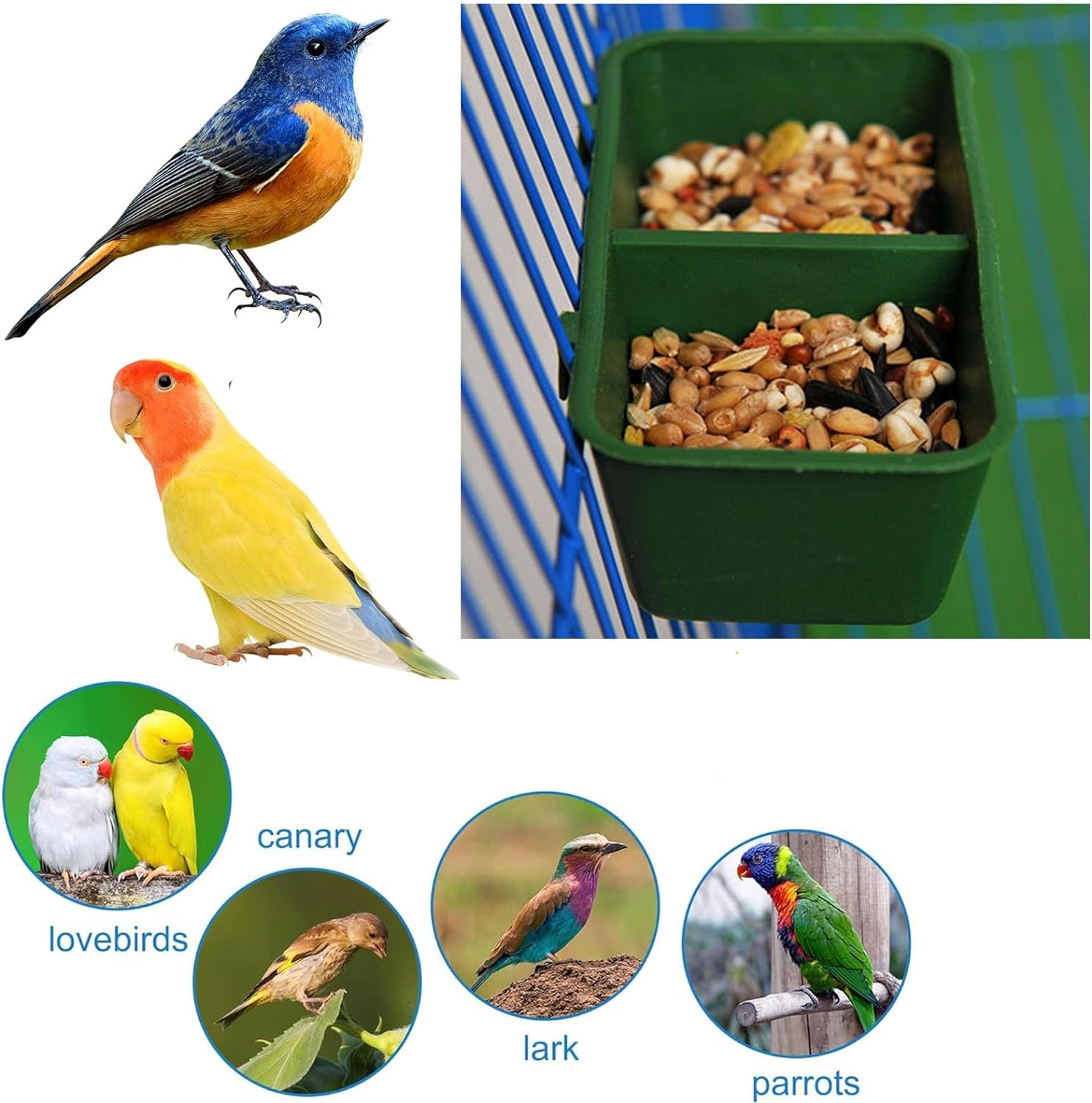 No Mess Bird Feeder Upgraded - 2 in 1 Parrot Cage Food and Water Bowl - Double Groove Bird Food Bowl for Cage for Hold Food, Water Universal Conjoined Food Box image number 2