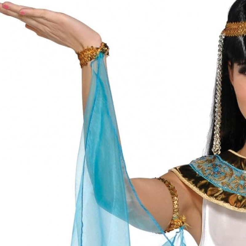 Amscan Queen Cleopatra Women'S Costume, 14-16