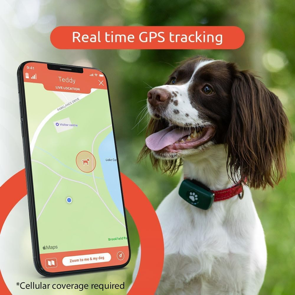 Pitpat GPS Tracker for Dogs - No Subscription Fees - Suitable for All Dogs and Fits All Collars - Smart Activity Tracker, Satellite Tracking with Unlimited Range (Pink) - Green image number 7