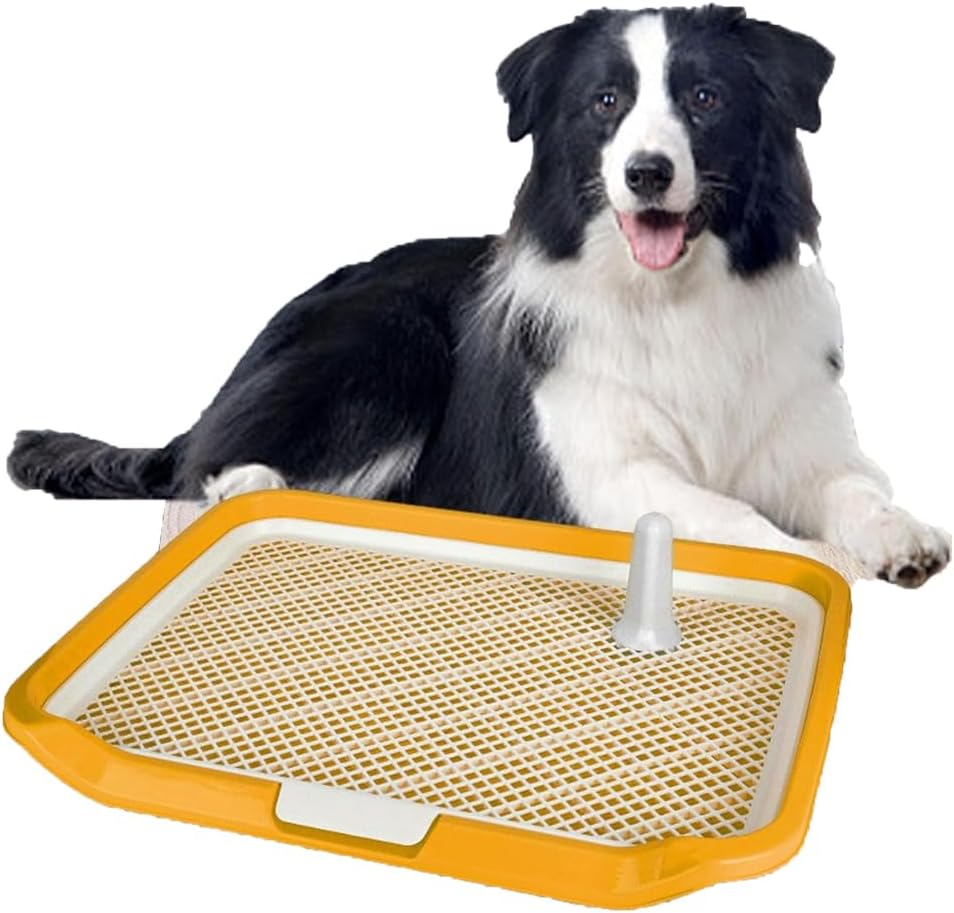 Puppy Dog Toilet,Dog Potty Tray Toilet,Pee Mesh Training Tray,Pet Training Toilet Pee Pad Holder for Dogs Doggy,Litter Tray, Low Entry,Open Top Box, Reusable for Indoor Outdoor,Yellow. image number 2