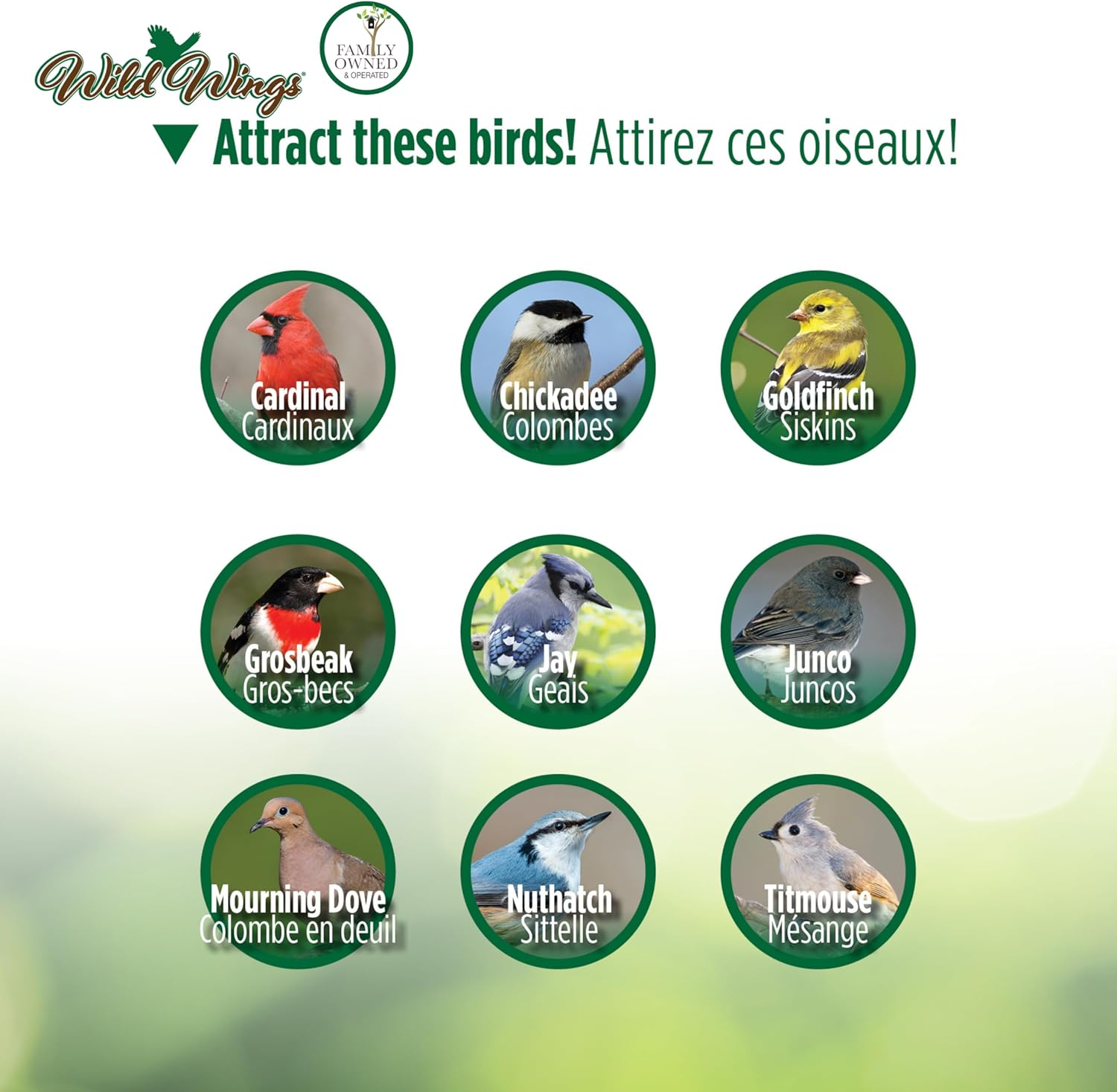 Wild Wings WWCF23 Cedar Tray Bird Feeder image number 5