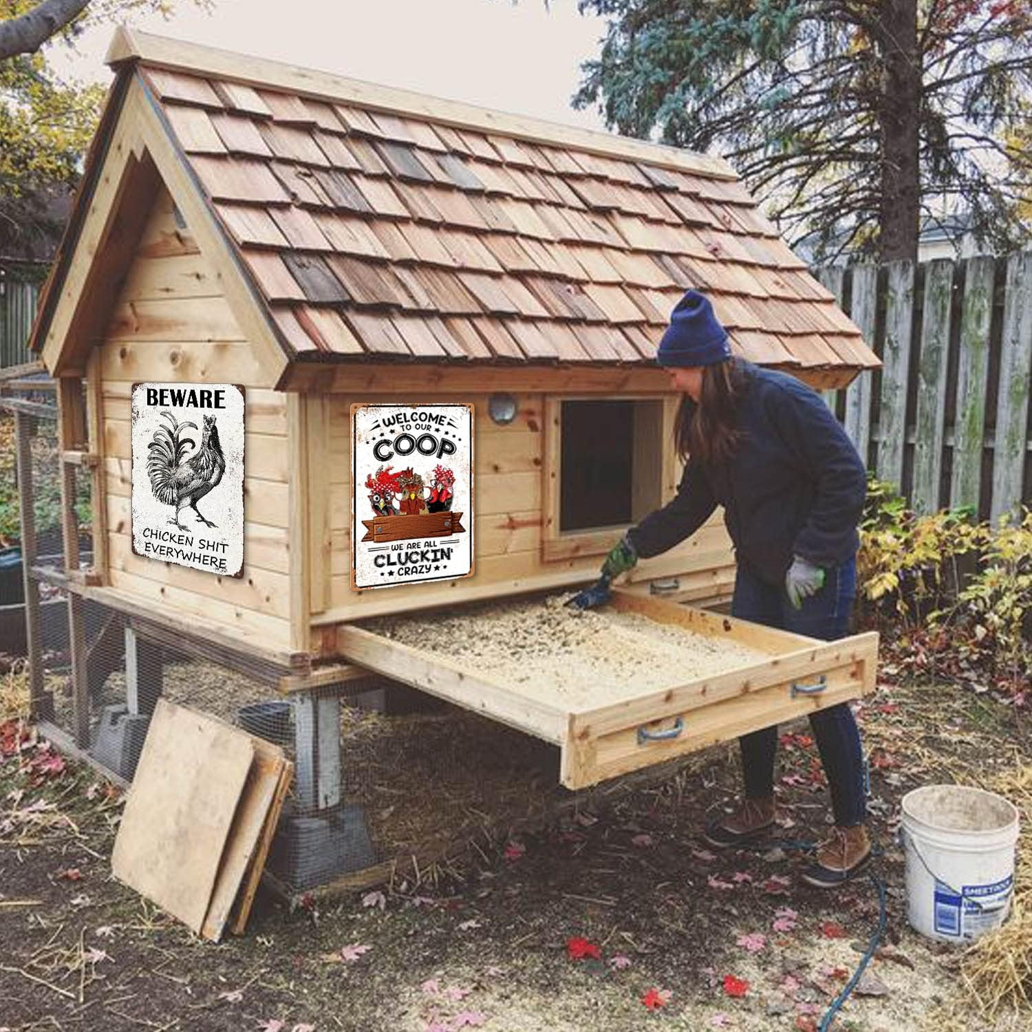 Chicken Coop Signs Welcome to Our Coop We Are All Cluckin Crazy Sign Chicken Signs for Coop Funny Outdoor Chicken Home Decor Chicken Stuff for Coop Metal Sign Chicken Coop Farm Tin Sign 8X12 Inch&hellip; image number 2