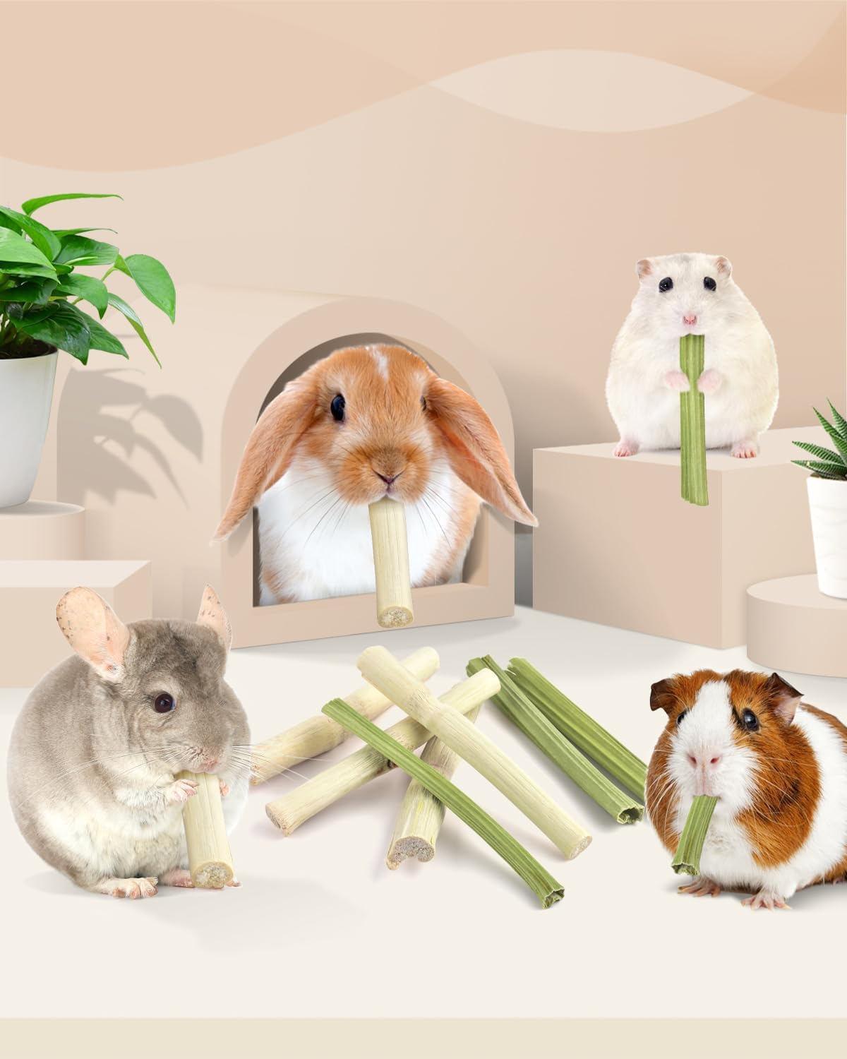 Bissap Rabbit Chew Sticks - 40 Rabbit, 20 Sweet Bamboo, 20 Papaya Stems for Rabbits image number 3