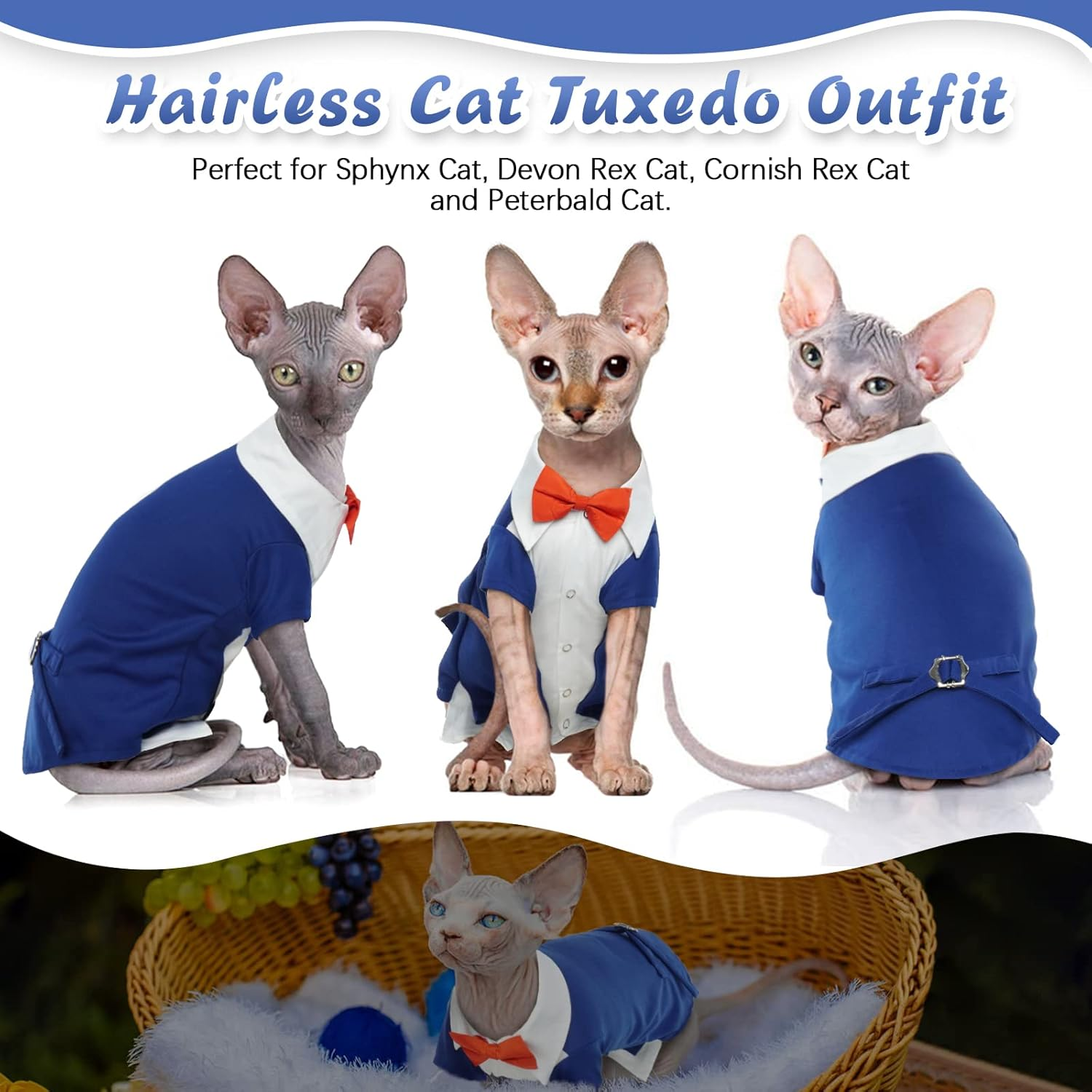 Hjyokuso Cat Tuxedo, Formal Wear Cat Costume, Cat Wedding Outfit, Blue, Polyester and Cotton, Xx-Large, Suitable for Small, Medium, Large Breeds image number 5