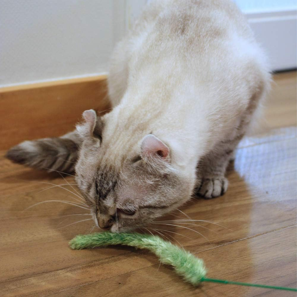 Cattyman Punished Cat Play Grass Set of 20