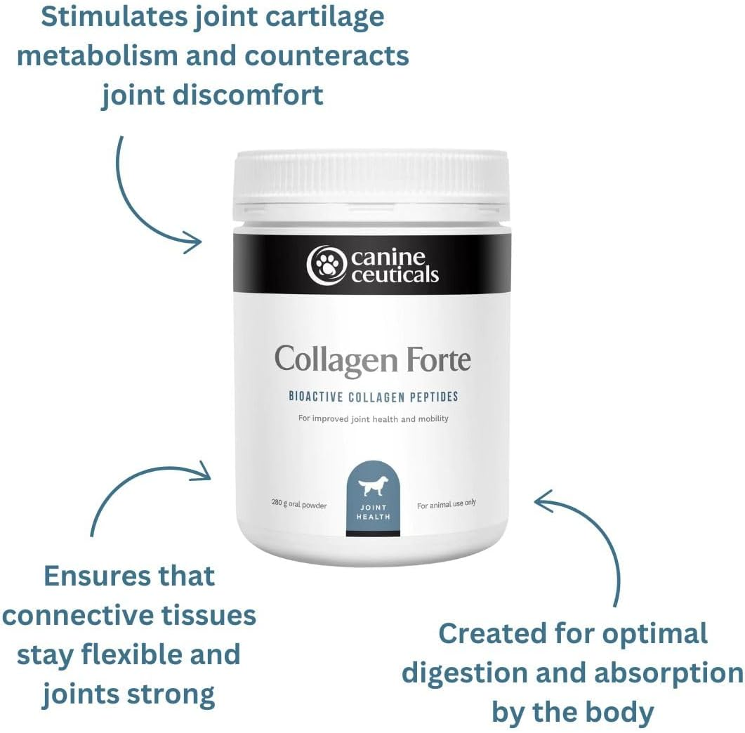 Canineceuticals - Collagen Forte - Advanced Joint & Cartilage Support for Dogs - Promotes Strong Ligaments, Healthy Skin & Gut Integrity - Bioavailable Collagen Peptides