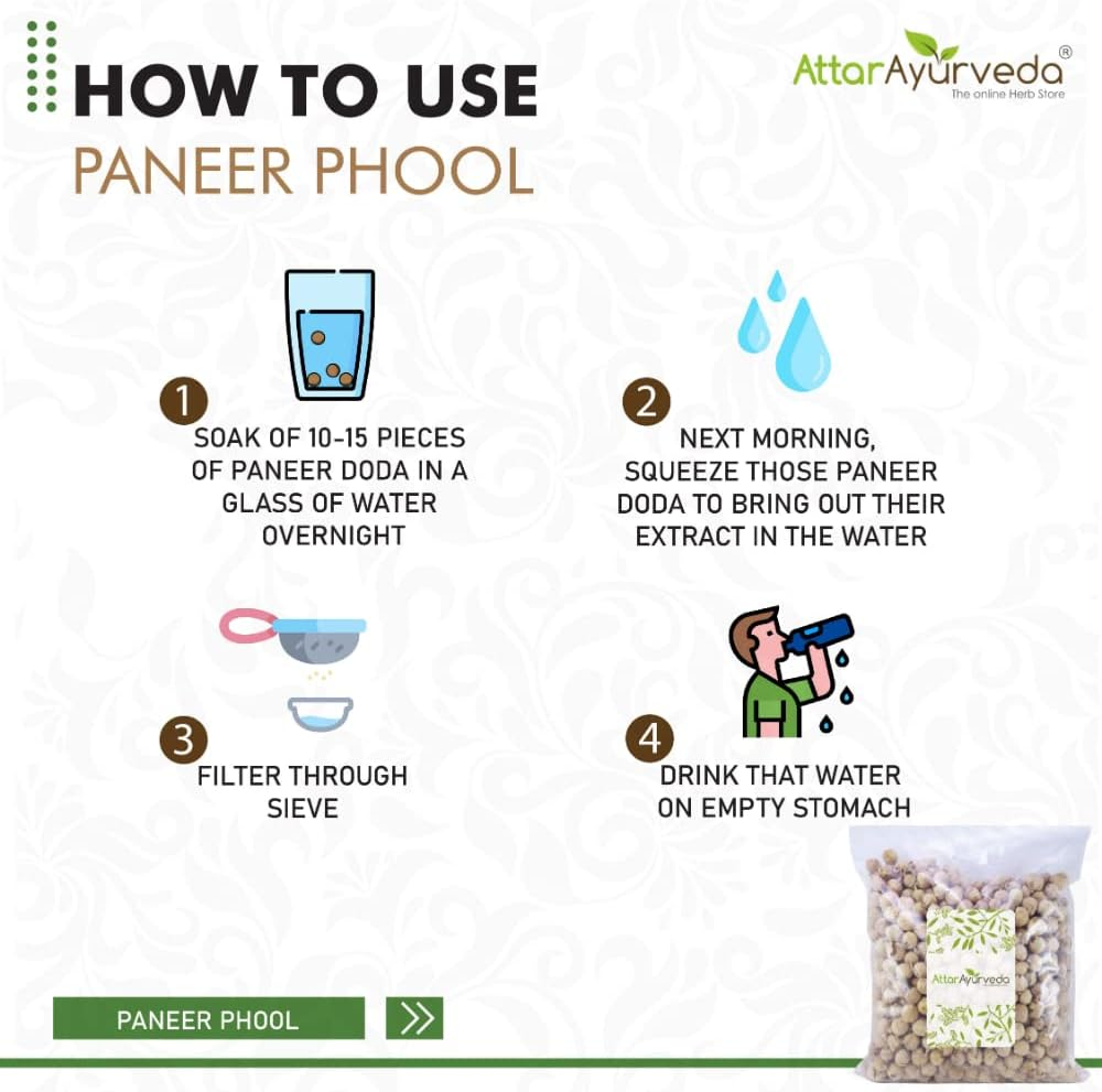 Attar Ayurveda Paneer Phool (400 Grams) | Paneer Doda | Paneer Dodi | Withania Coagulans | Pure and Natural | No Preservatives