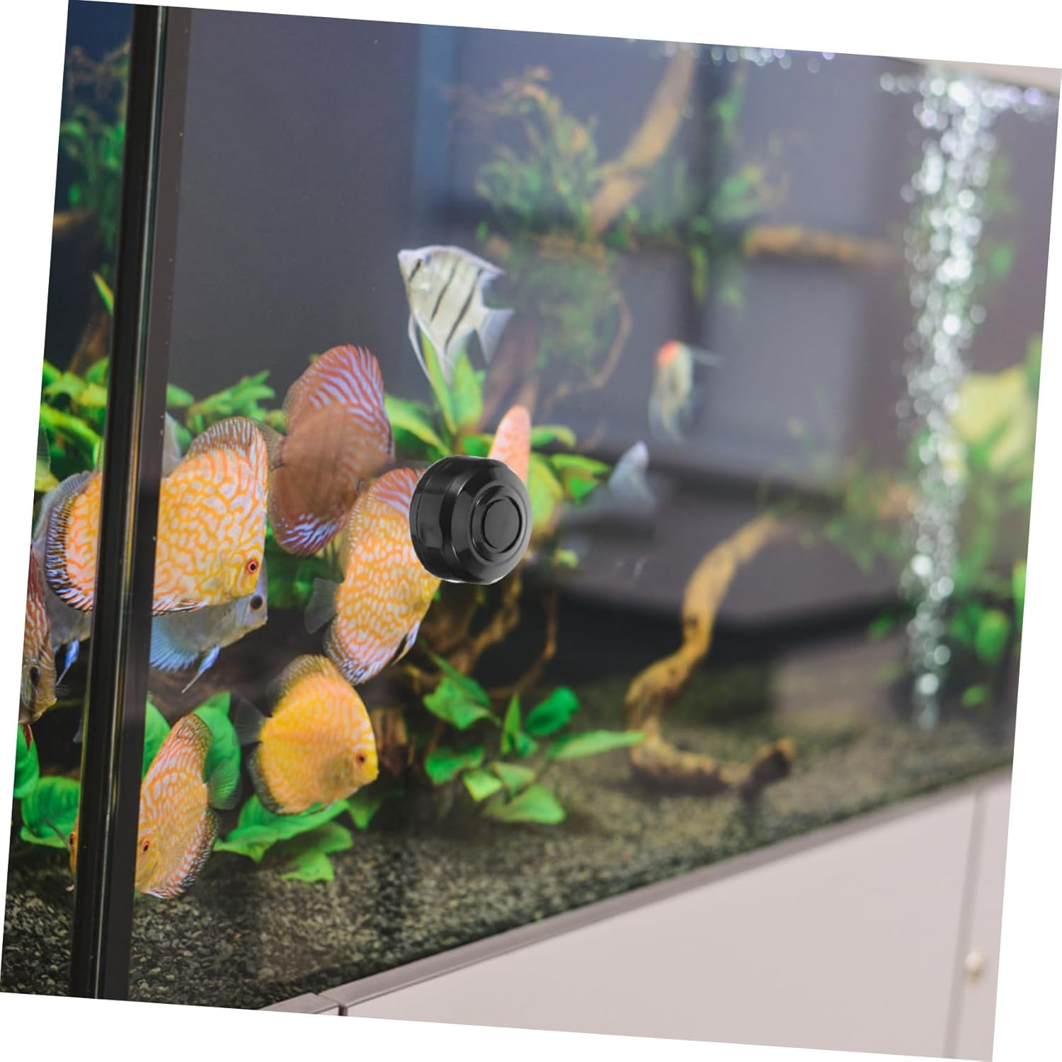 Yardwe 1Set Aquarium Magnetic Cleaning Brush Fish Tank Tool for Easy Algae Removal Scratch Design for Maintaining Healthy Aquatic Environments image number 5