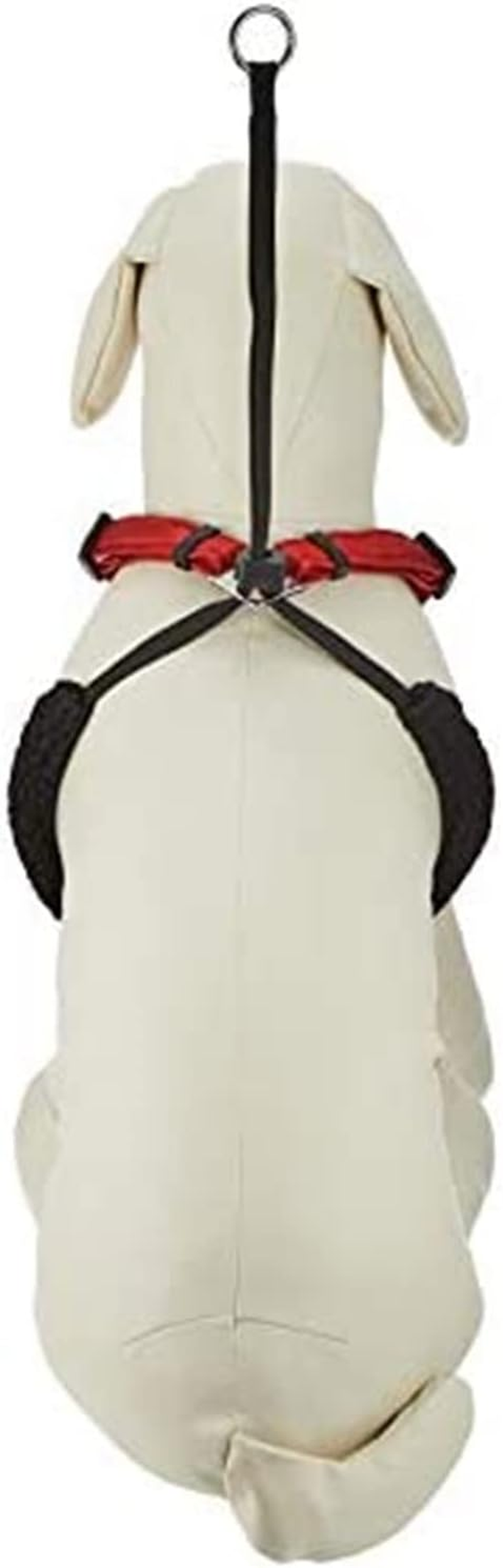 Platz the Spawn Company Sportswn Dog Harness, Mesh Harness, M, Red image number 4