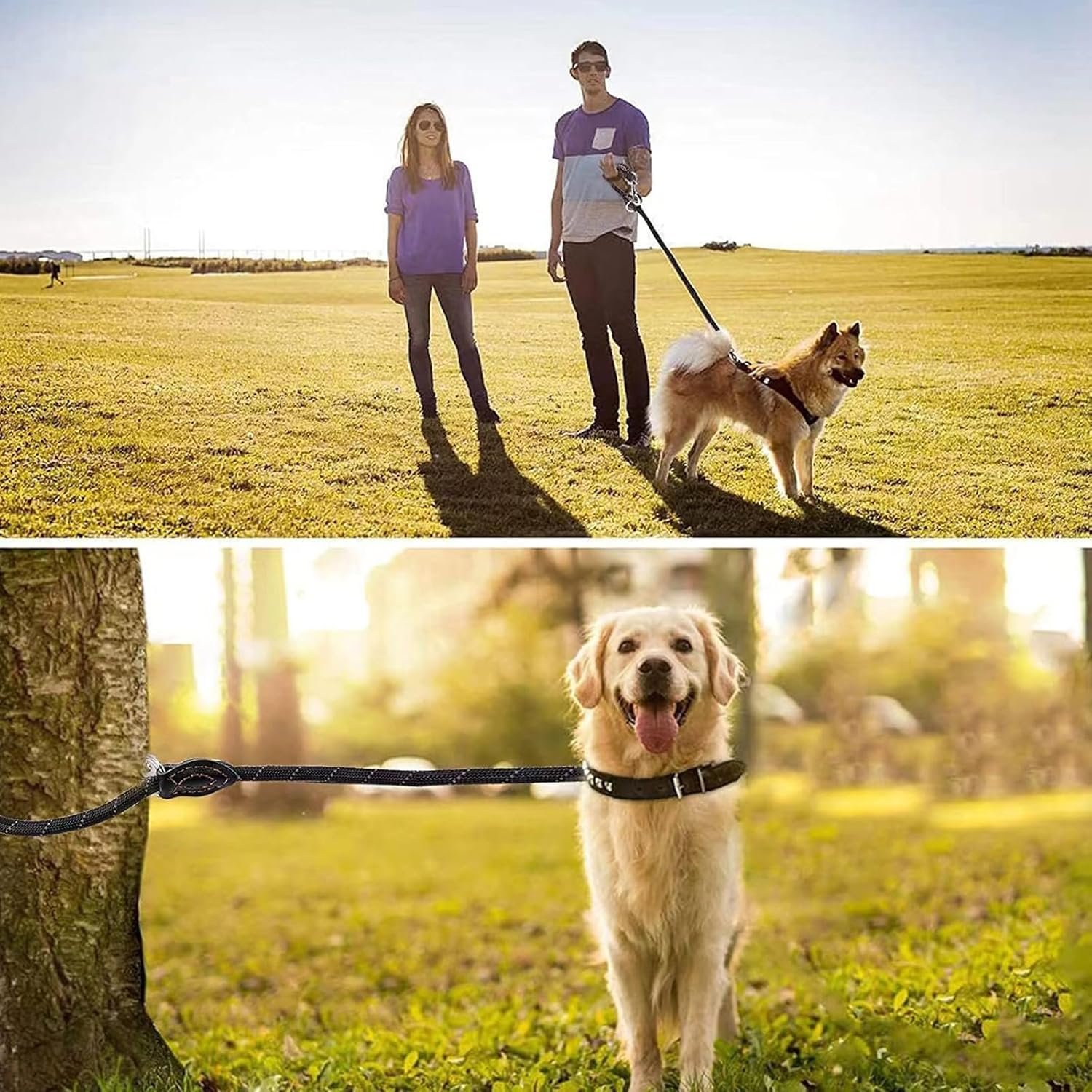 Dog Lead 3 M Adjustable with 2 Carabiners, Shoulder Leash/Double Lead Perfect for Large Dogs with Comfortable Padded Handle and High Reflective Line, with Dog Poop Bag Holder (Black) image number 5