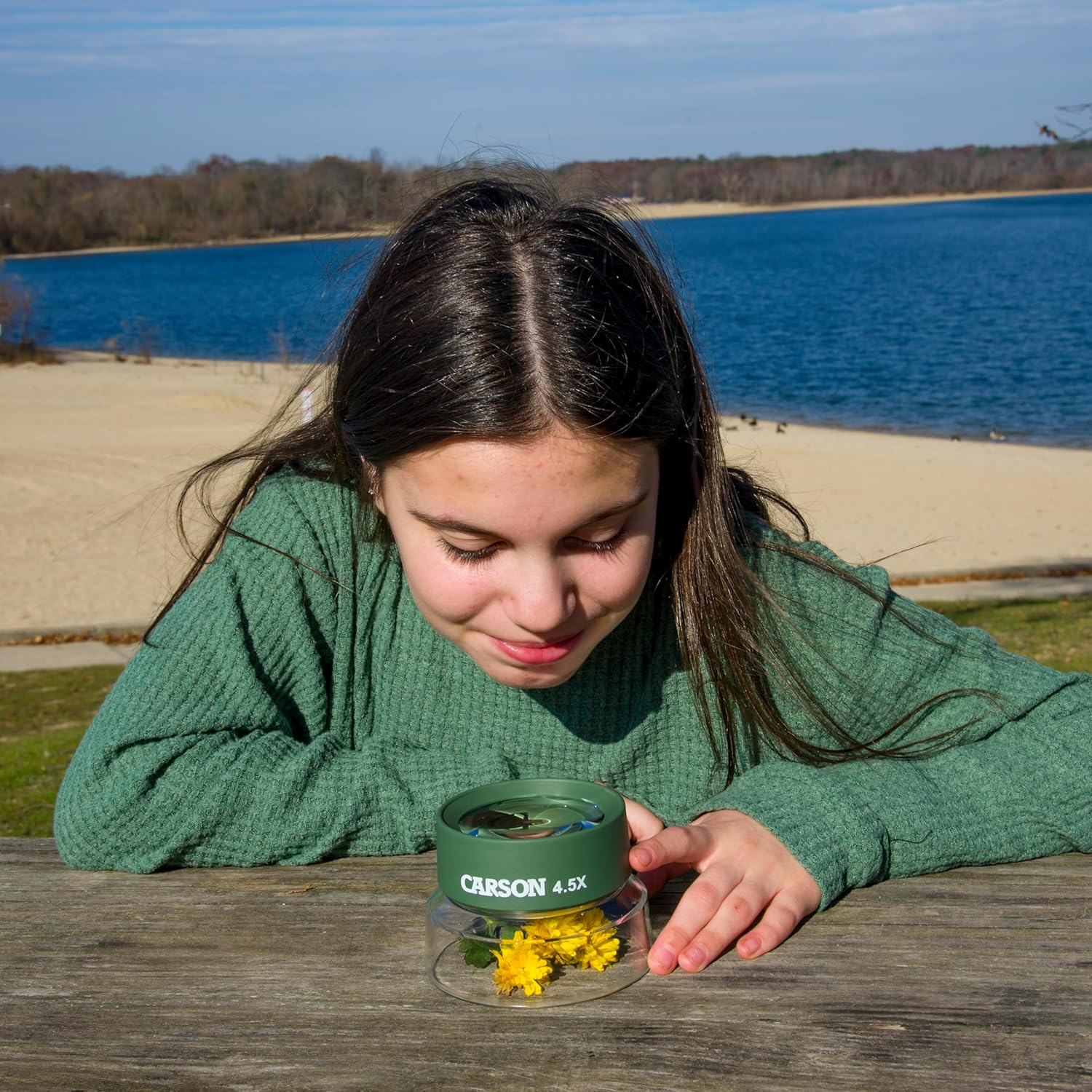 Carson Bugloupe Oversized 4.5X Stand Magnifier for Easy Viewing image number 5