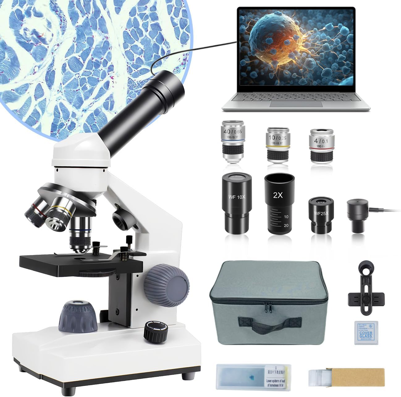 Microscope for Adults Kids Students, 40X-2000X Microscope with Electronic Eyepieces，Metal-Body Dual LED Illumination, Biological Microscope Kit for Kids Students Home School Lab image number 4