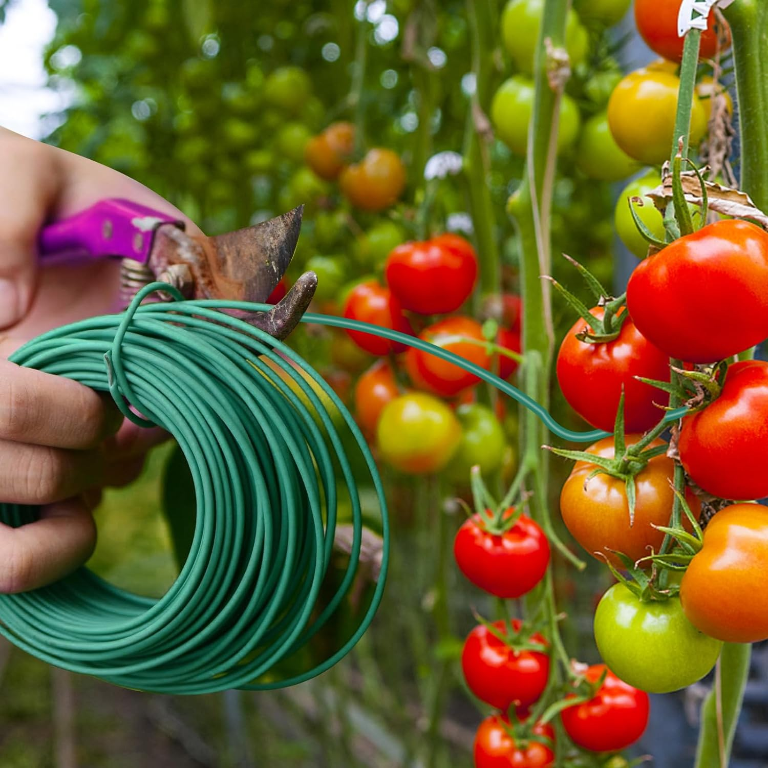 YDSL 100 Feet Soft Tie for Plants, 3 Pack Green Twist Garden Ties Gardening Supplies for Supporting Climbing Plants, Tomatoes, Vegetables, (Diameter - 2.5MM) image number 3