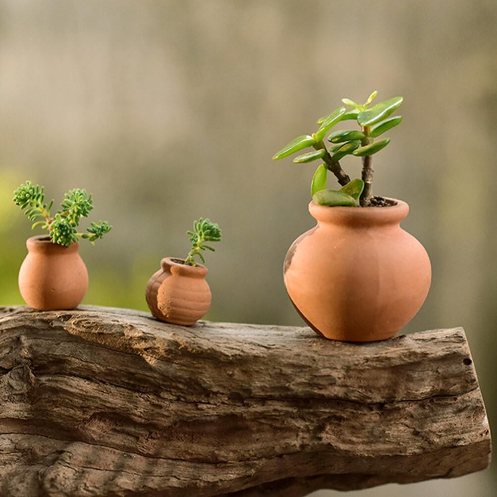 SEWACC 9Pcs Mini Succulent Planter Flower Pots Plant Pot Ceramic Pots Nursery Planter Grow Pots Garden Supply Pot Plant Gardening Pots Nursery Pot Garden Pot Leaf Cuttings Indoor Ceramics image number 3