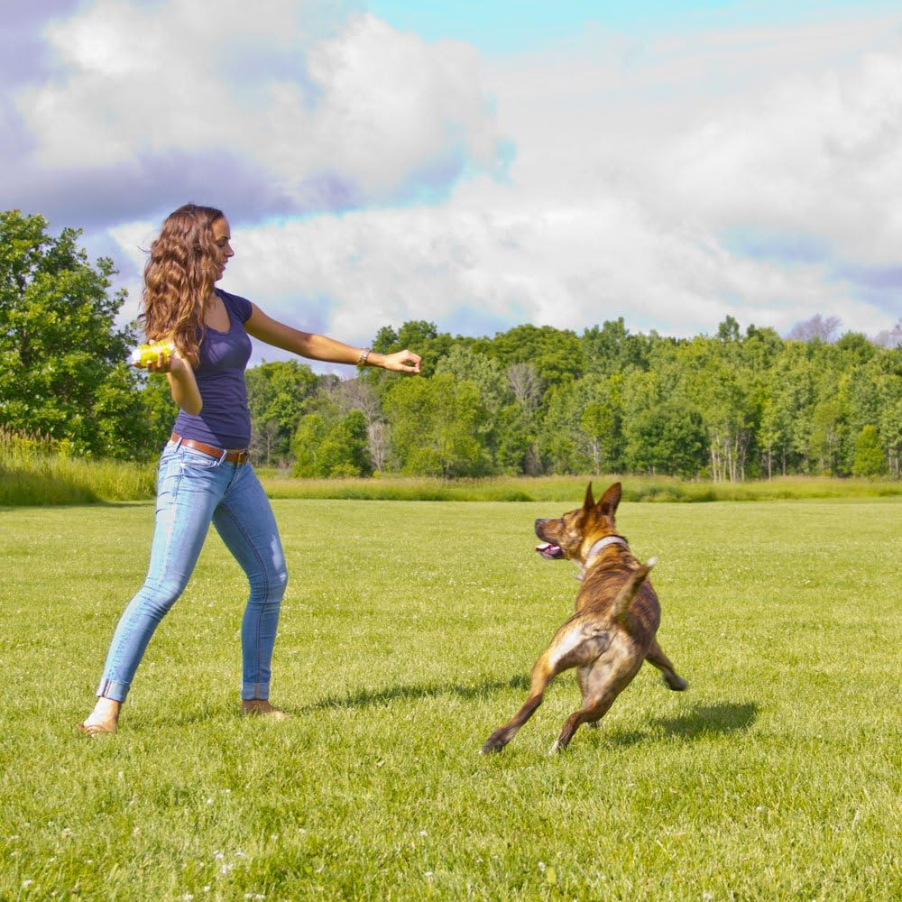 Hyper Pet Hyper Squawkers Dog Bone Durable Dog Toy Designed from TPR and Nylon with an Enticing Giggle Noise Medium image number 4