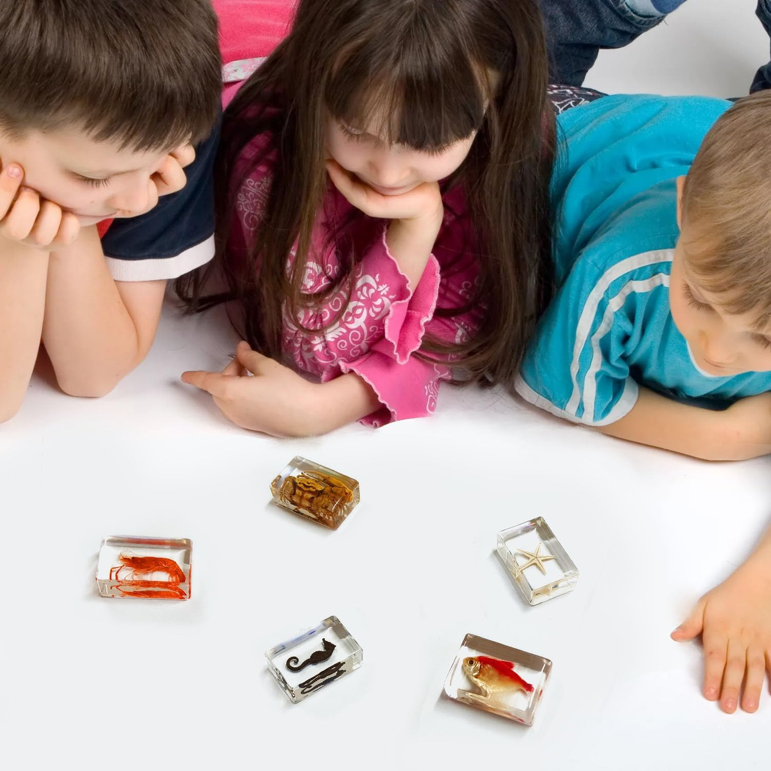 4Pcs Insect in Resin Specimen, Bug Preserved Specimen Collection Paperweights Resin Insects Various Insect Specimen for Office Office School Biology Science Teacher Education (Insect) image number 3