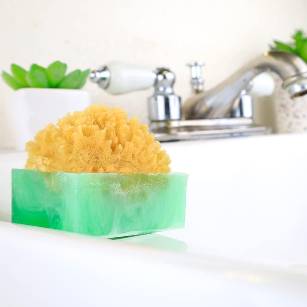 Primal Elements Honeycrisp Apple Spongebar Soap (Pack of 2) image number 1